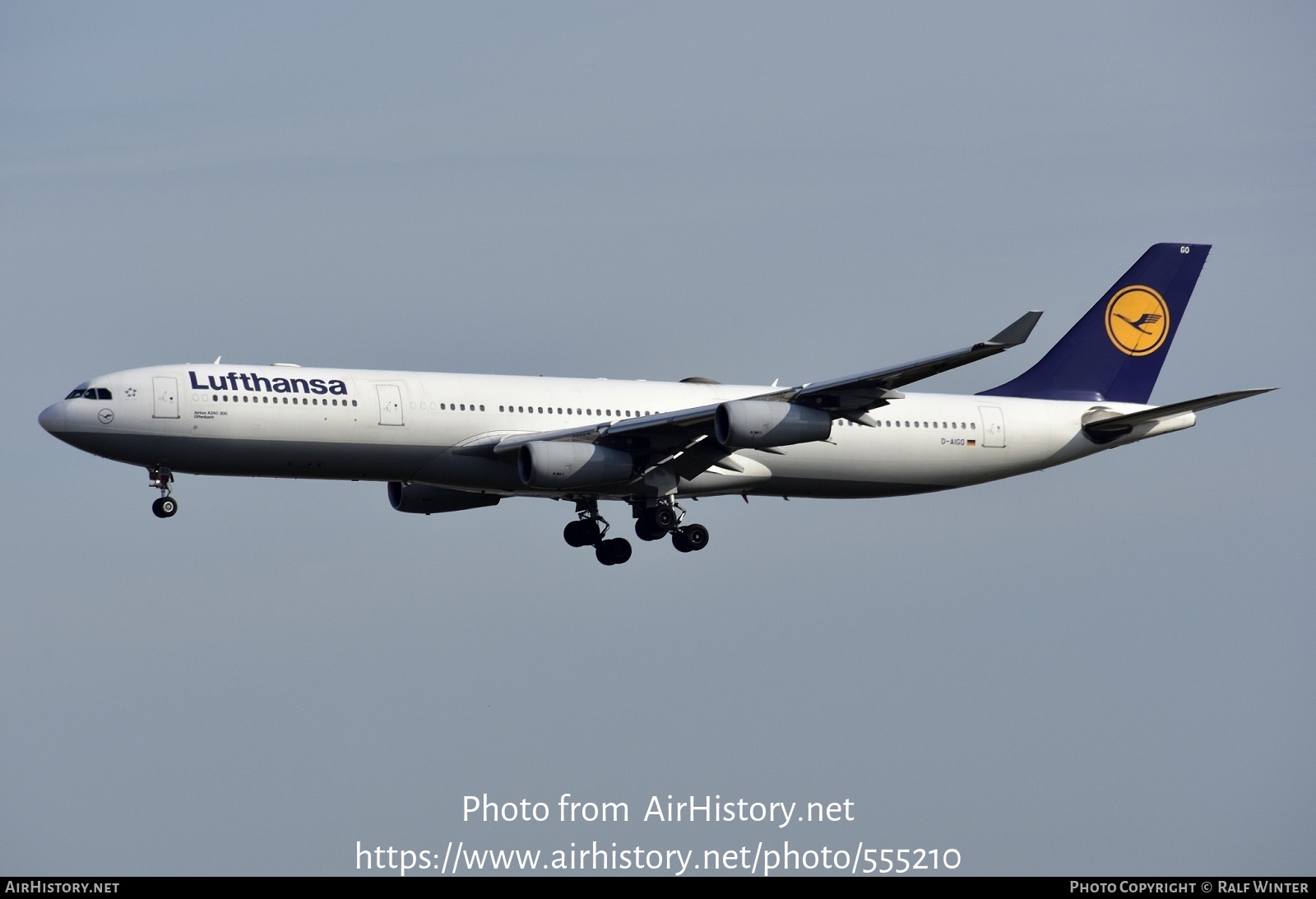 Aircraft Photo of D-AIGO | Airbus A340-313 | Lufthansa | AirHistory.net #555210