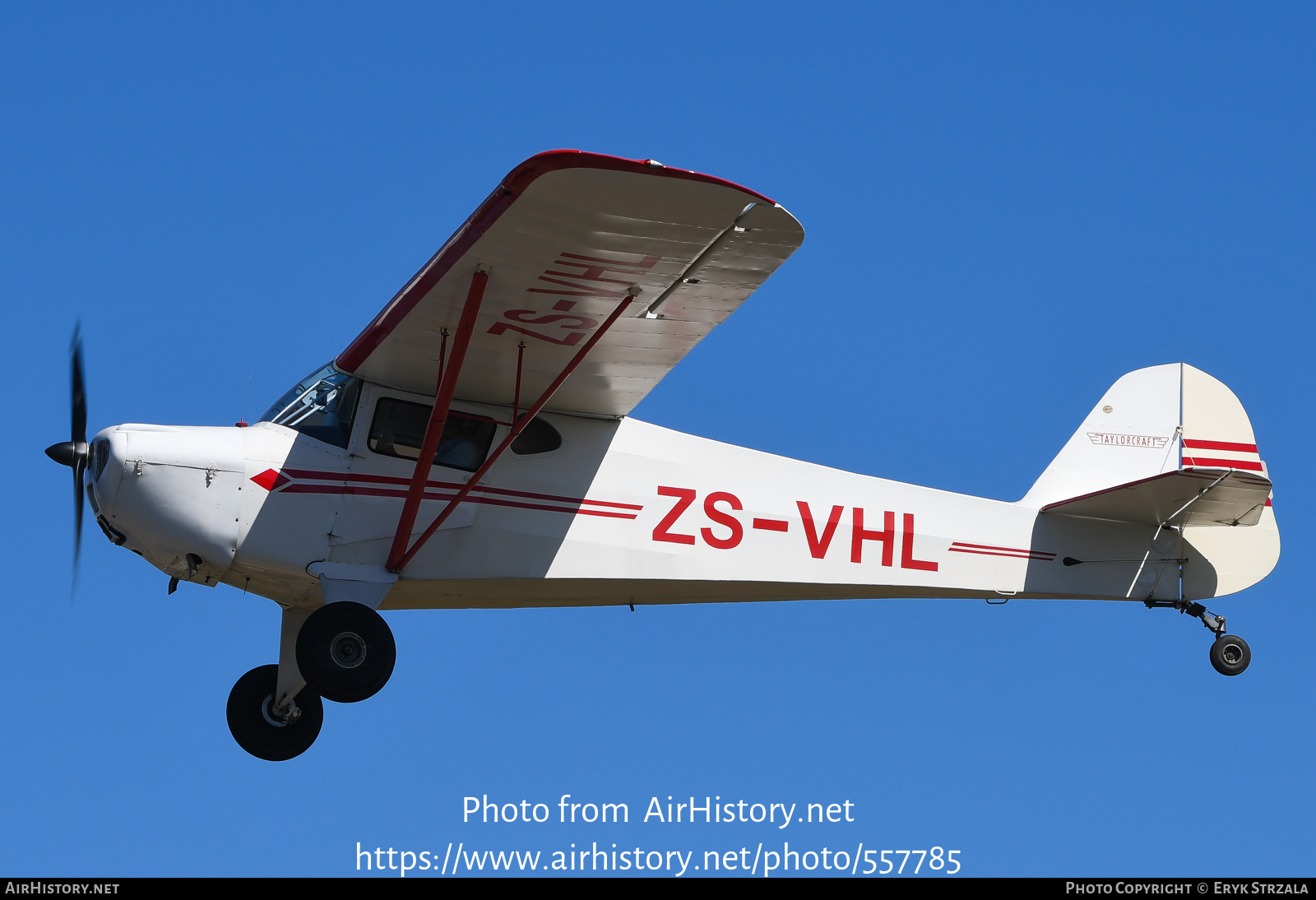 Aircraft Photo of ZS-VHL | Taylorcraft BC-12D | AirHistory.net #557785