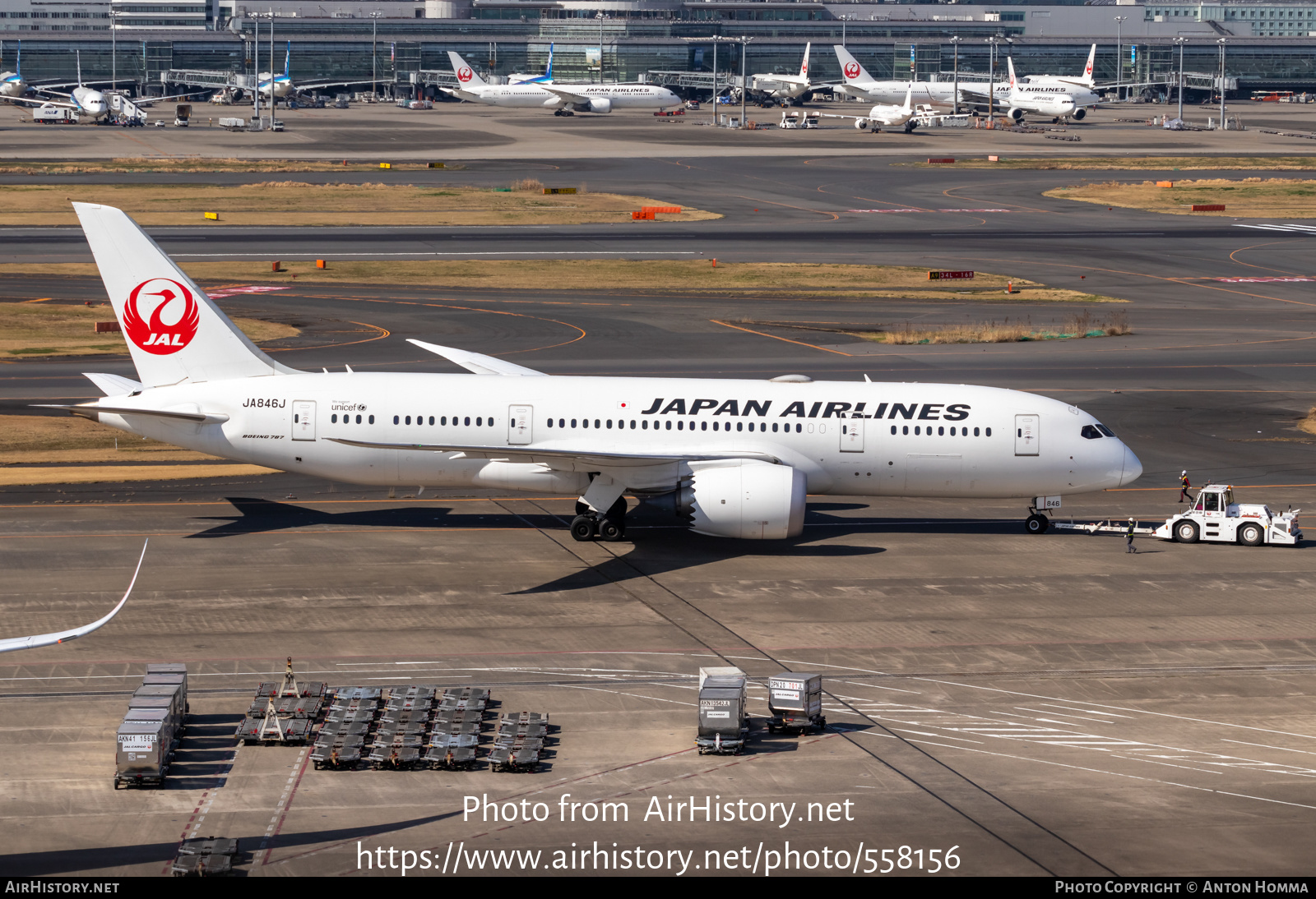 Aircraft Photo of JA846J | Boeing 787-8 Dreamliner | Japan Airlines - JAL | AirHistory.net #558156