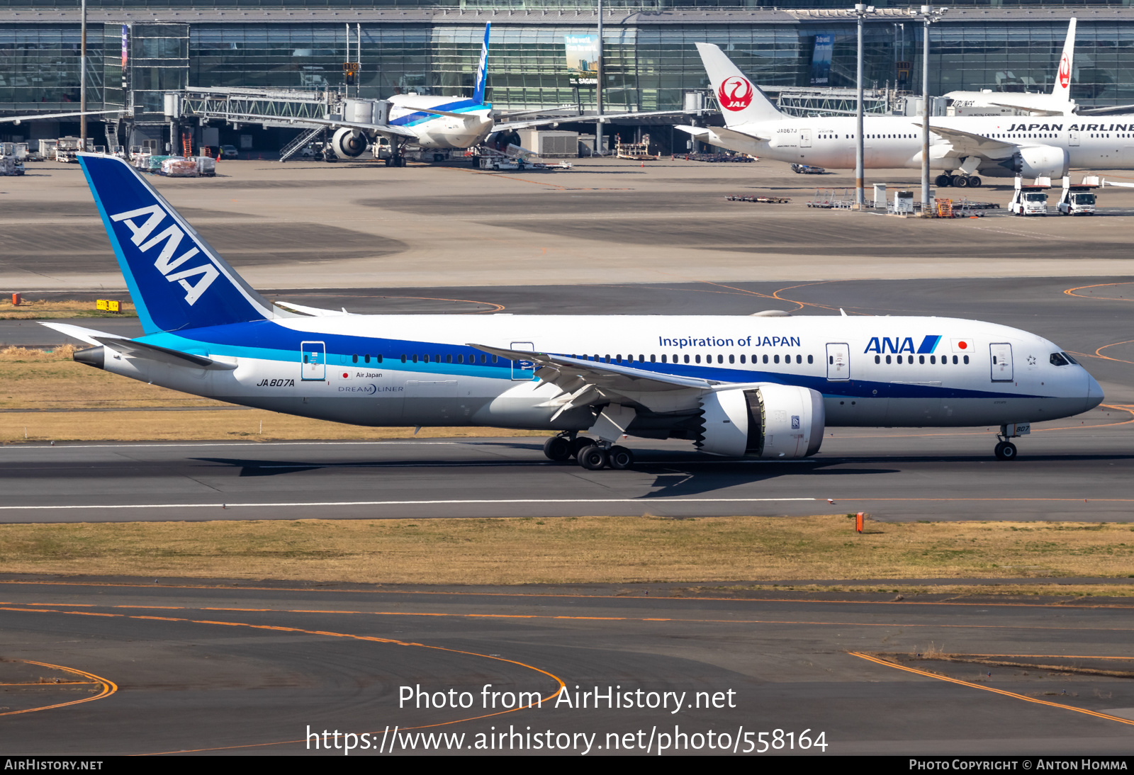 Aircraft Photo of JA807A | Boeing 787-8 Dreamliner | All Nippon Airways - ANA | AirHistory.net #558164