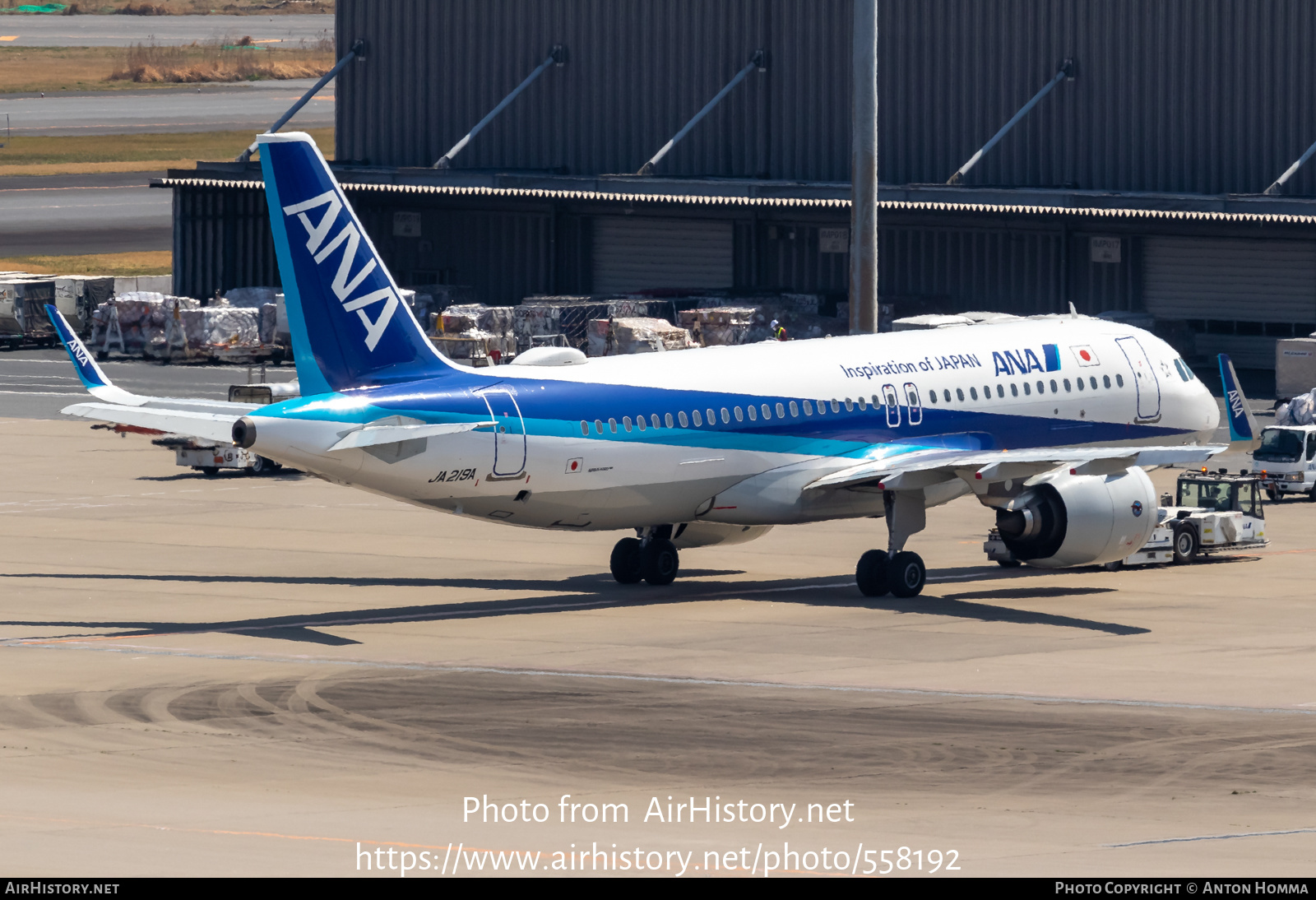 Aircraft Photo of JA219A | Airbus A320-271N | All Nippon Airways - ANA | AirHistory.net #558192