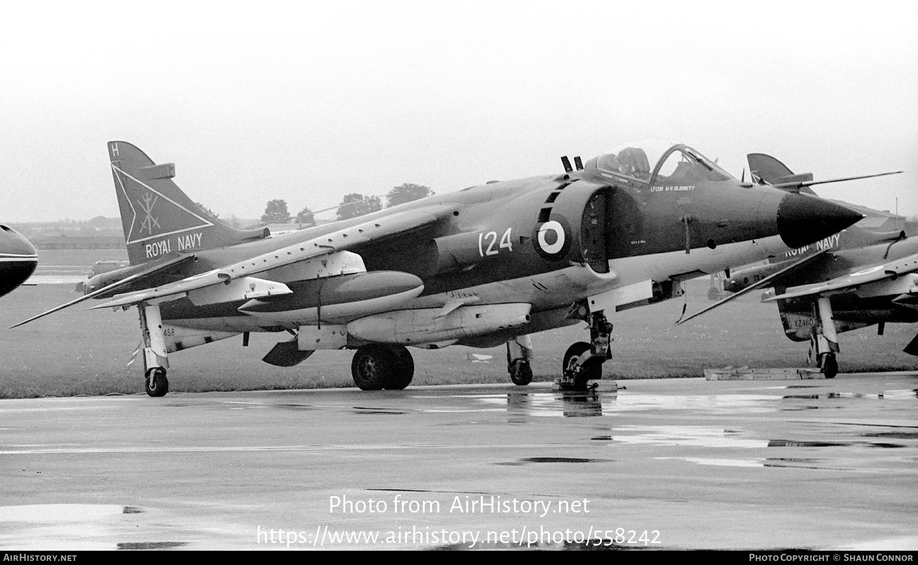 Aircraft Photo of XZ458 | British Aerospace Sea Harrier FRS1 | UK - Navy | AirHistory.net #558242