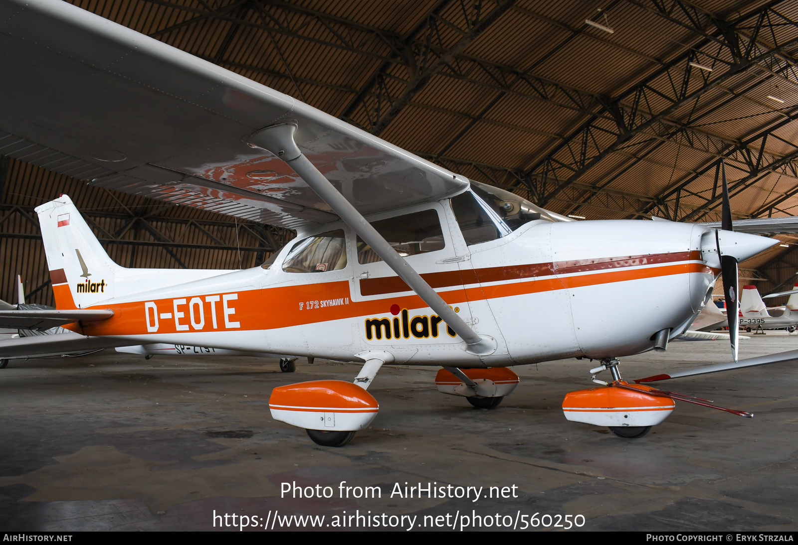 Aircraft Photo of D-EOTE | Reims F172N Skyhawk 100 II | Milart | AirHistory.net #560250