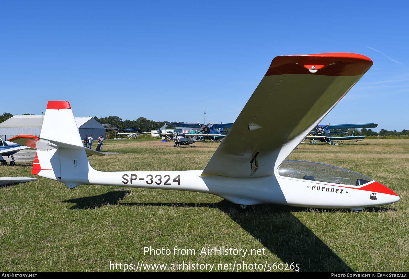 Aircraft Photo of SP-3324 | PZL-Bielsko SZD-50-3 Puchacz | AirHistory.net #560265