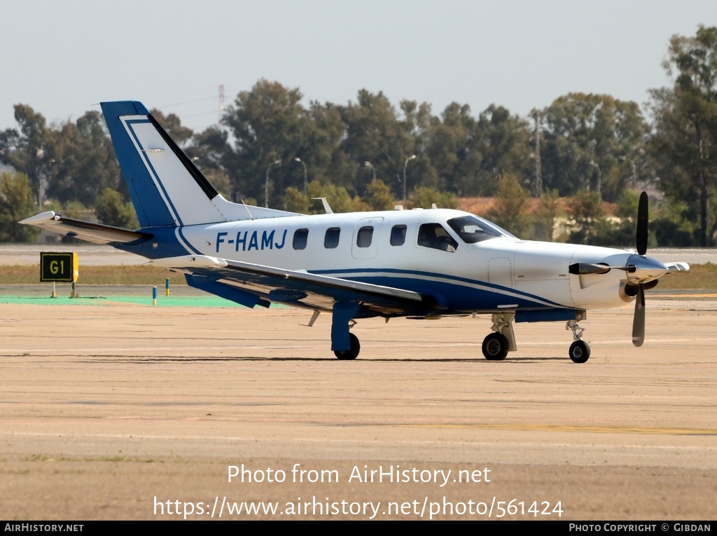 Aircraft Photo of F-HAMJ | Socata TBM-700 | AirHistory.net #561424