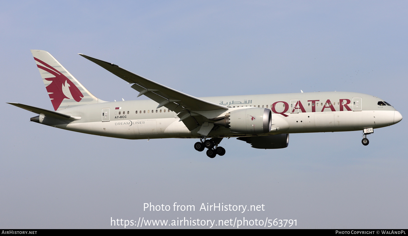 Aircraft Photo of A7-BCC | Boeing 787-8 Dreamliner | Qatar Airways | AirHistory.net #563791