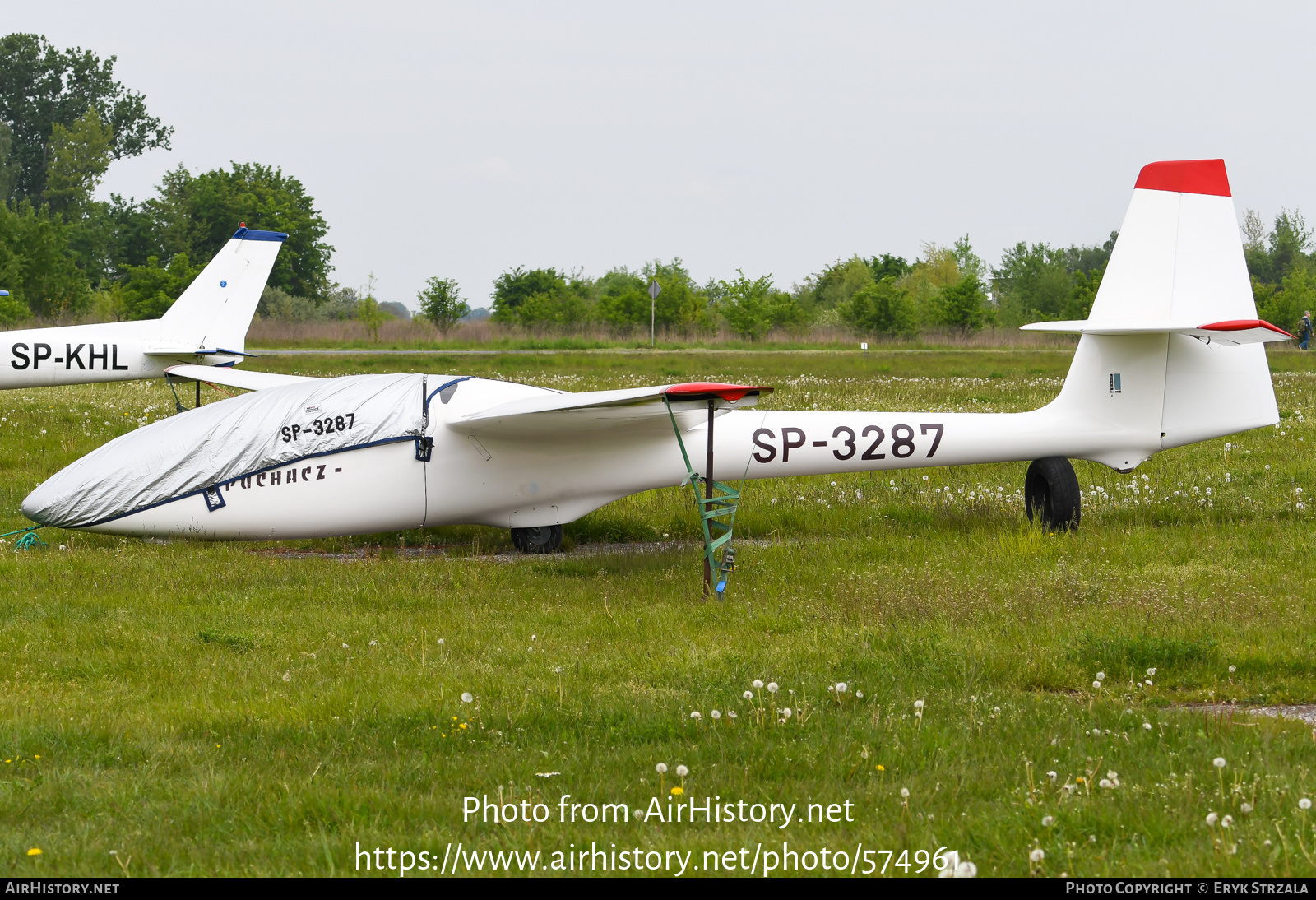 Aircraft Photo of SP-3287 | PZL-Bielsko SZD-50-3 Puchacz | AirHistory.net #574961