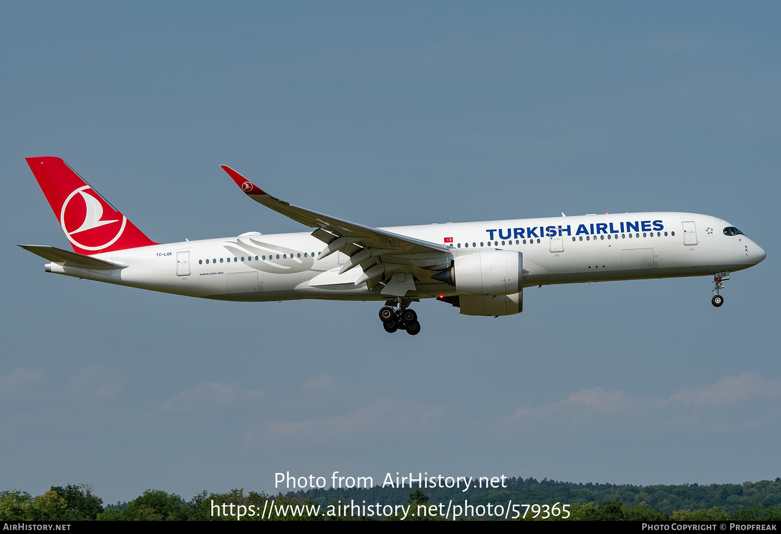 Aircraft Photo of TC-LGK | Airbus A350-941 | Turkish Airlines | AirHistory.net #579365