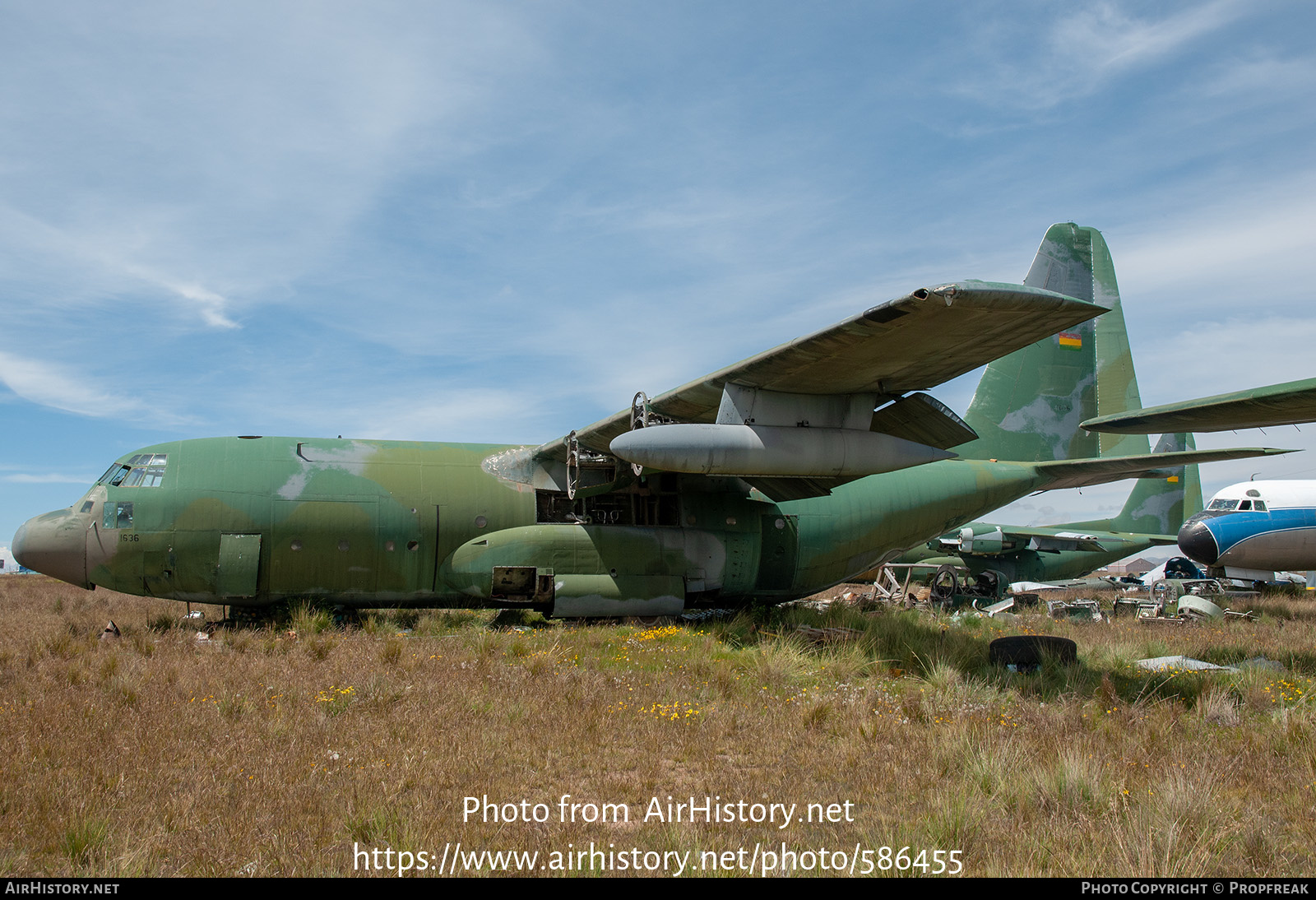 Aircraft Photo of TAM-64 / 41636 | Lockheed C-130A Hercules (L-182) | Bolivia - Air Force | AirHistory.net #586455