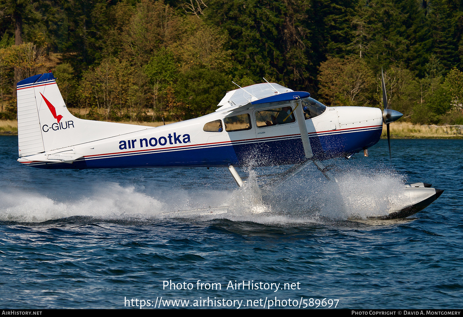 Aircraft Photo of C-GIUR | Cessna A185F Skywagon 185 | Air Nootka | AirHistory.net #589697