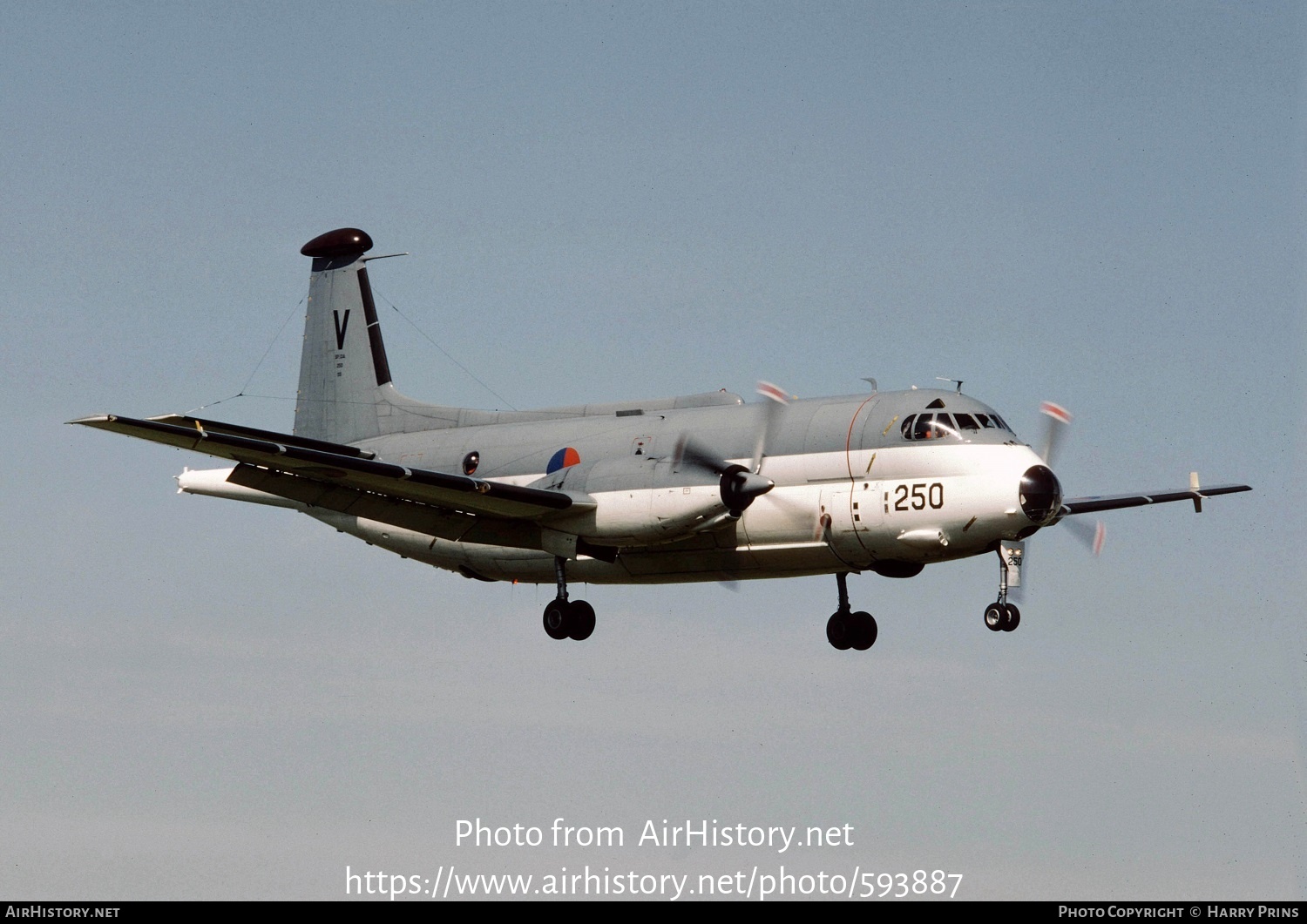 Aircraft Photo of 250 | Bréguet SP-13A Atlantic | Netherlands - Navy | AirHistory.net #593887