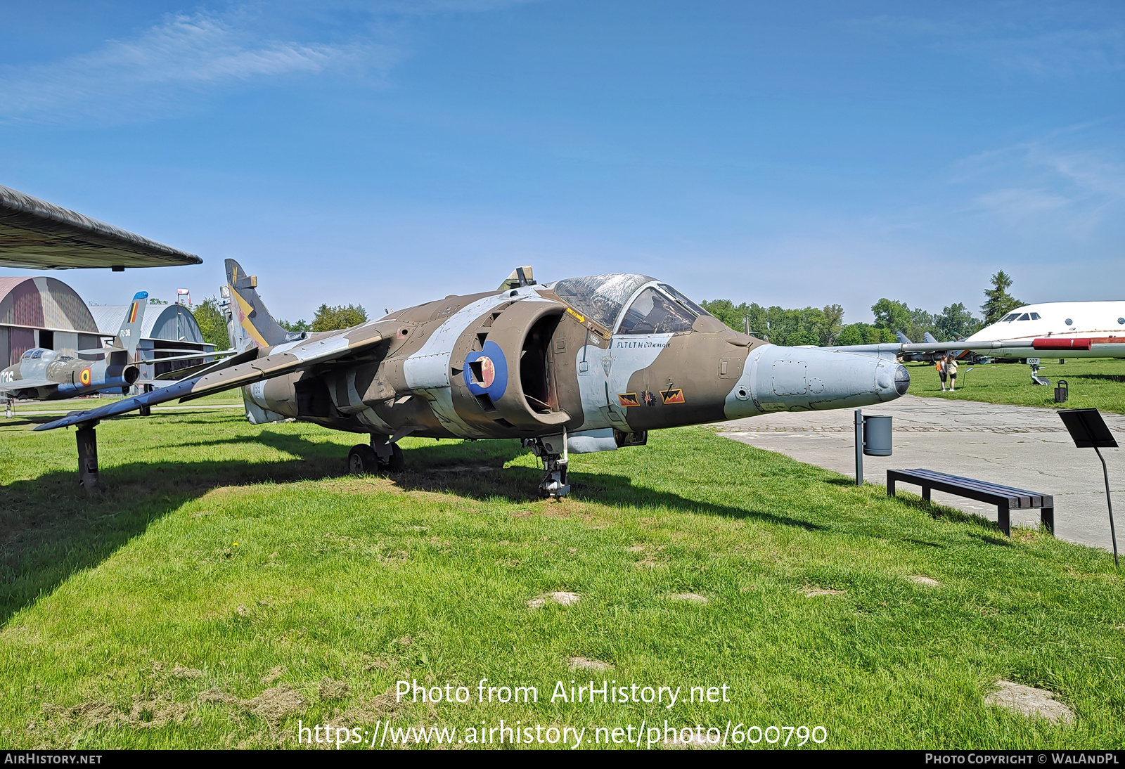 Aircraft Photo of XW919 | Hawker Siddeley Harrier GR3 | UK - Air Force | AirHistory.net #600790