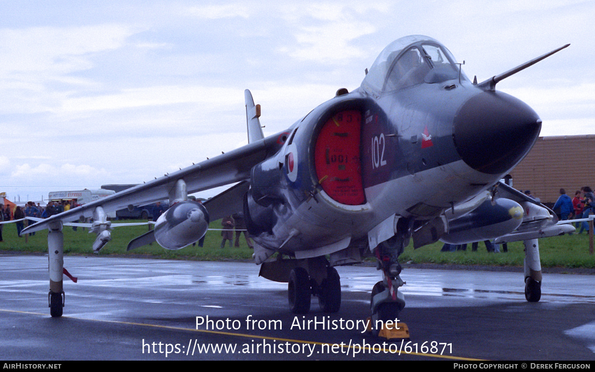 Aircraft Photo of XZ455 | British Aerospace Sea Harrier FRS1 | UK - Navy | AirHistory.net #616871