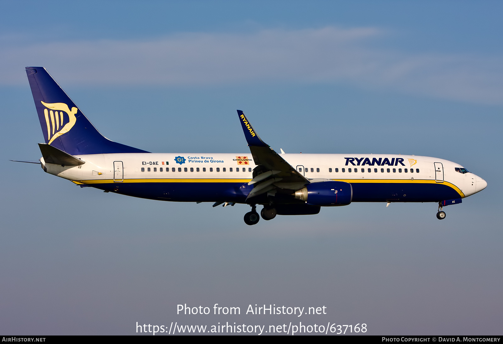 Aircraft Photo of EI-DAE | Boeing 737-8AS | Ryanair | AirHistory.net #637168