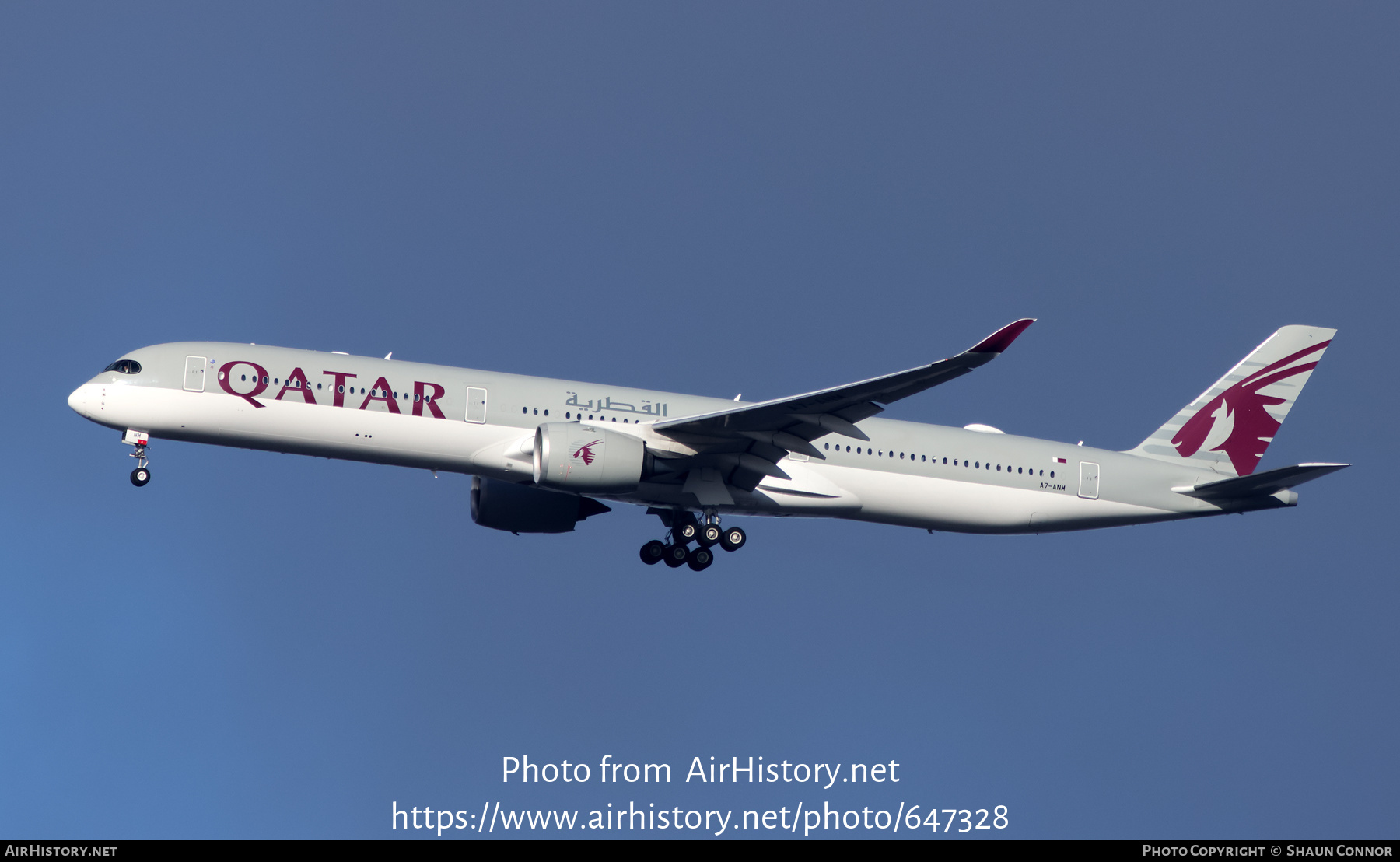 Aircraft Photo of A7-ANM | Airbus A350-1041 | Qatar Airways | AirHistory.net #647328