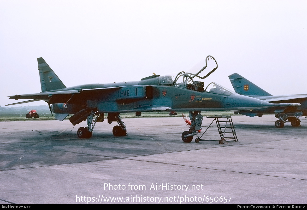 Aircraft Photo of E22 | Sepecat Jaguar E | France - Air Force | AirHistory.net #650657