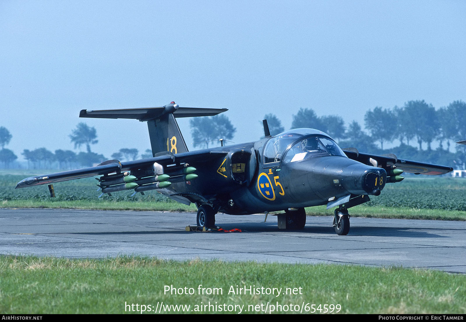 Aircraft Photo of 60018 | Saab Sk 60C | Sweden - Air Force | AirHistory.net #654599