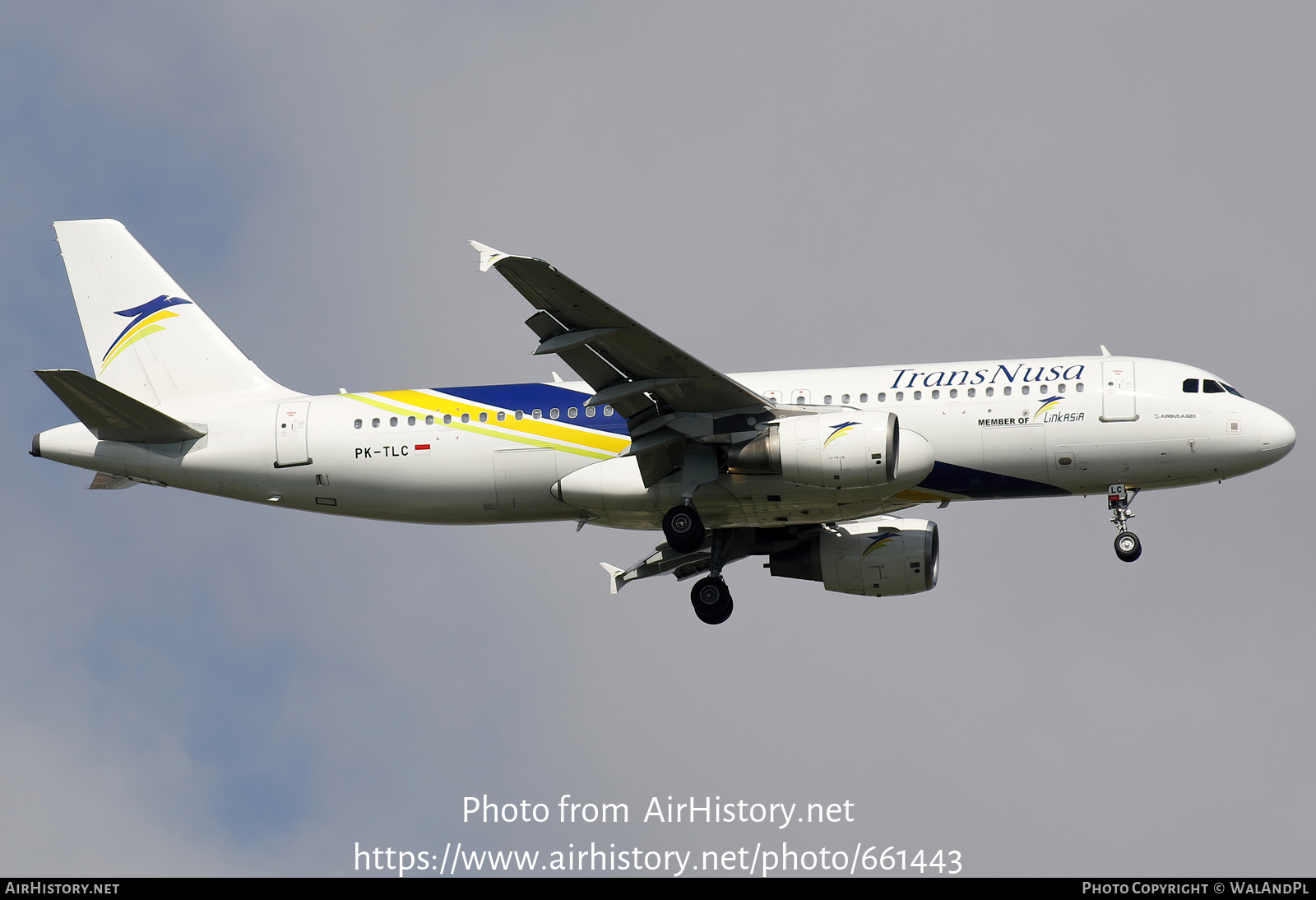 Aircraft Photo of PK-TLC | Airbus A320-214 | TransNusa Aviation | AirHistory.net #661443