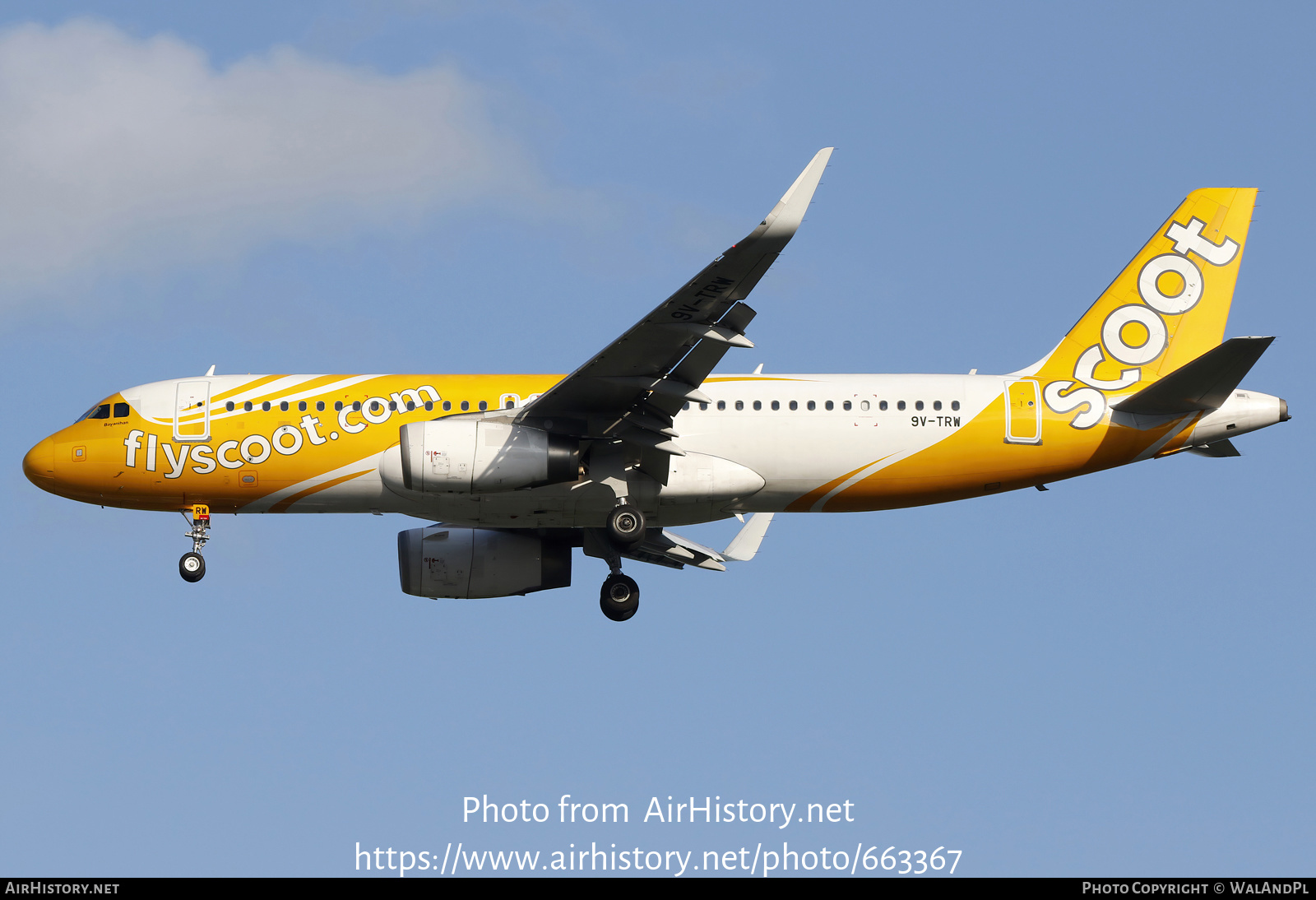 Aircraft Photo of 9V-TRW | Airbus A320-232 | Scoot | AirHistory.net #663367