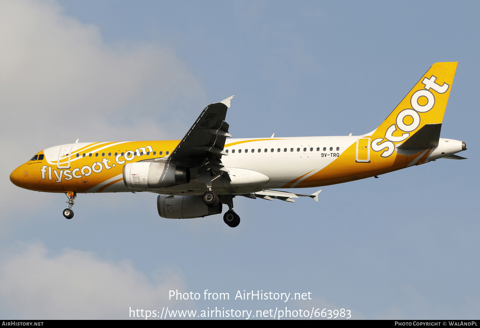 Aircraft Photo of 9V-TRO | Airbus A320-232 | Scoot | AirHistory.net #663983