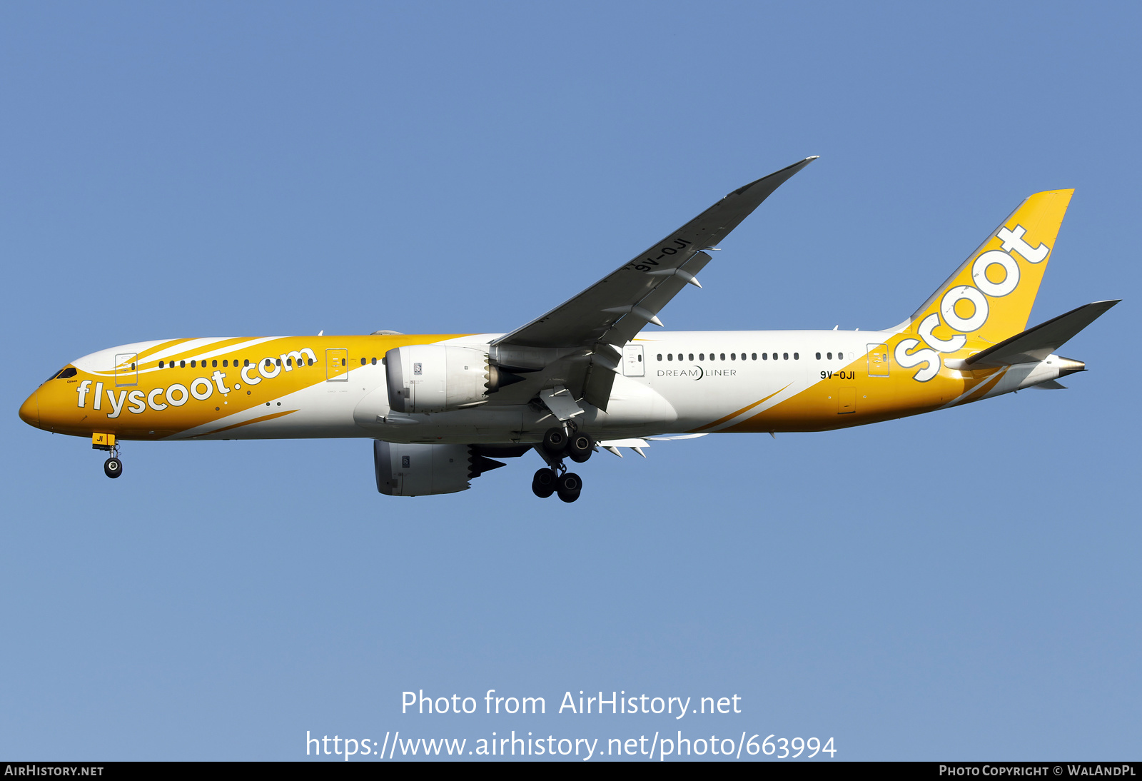 Aircraft Photo of 9V-OJI | Boeing 787-9 Dreamliner | Scoot | AirHistory.net #663994