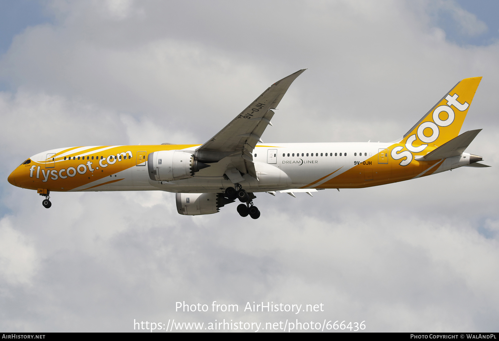 Aircraft Photo of 9V-OJH | Boeing 787-9 Dreamliner | Scoot | AirHistory.net #666436