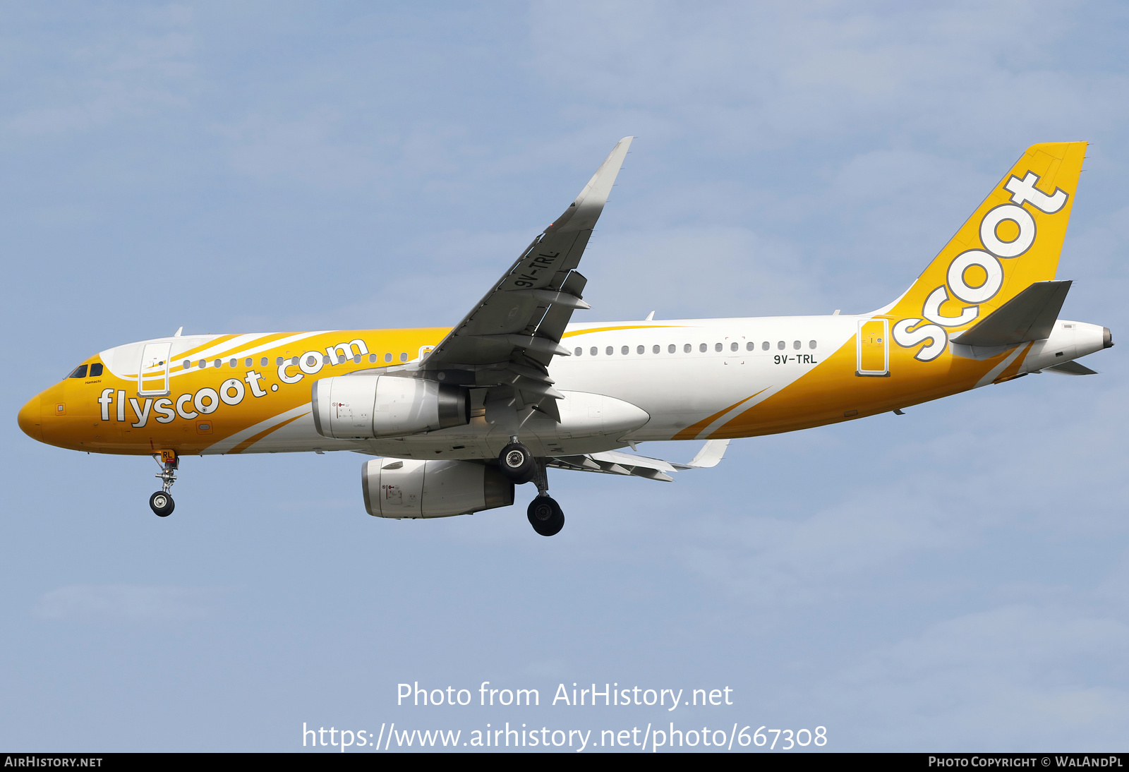 Aircraft Photo of 9V-TRL | Airbus A320-232 | Scoot | AirHistory.net #667308