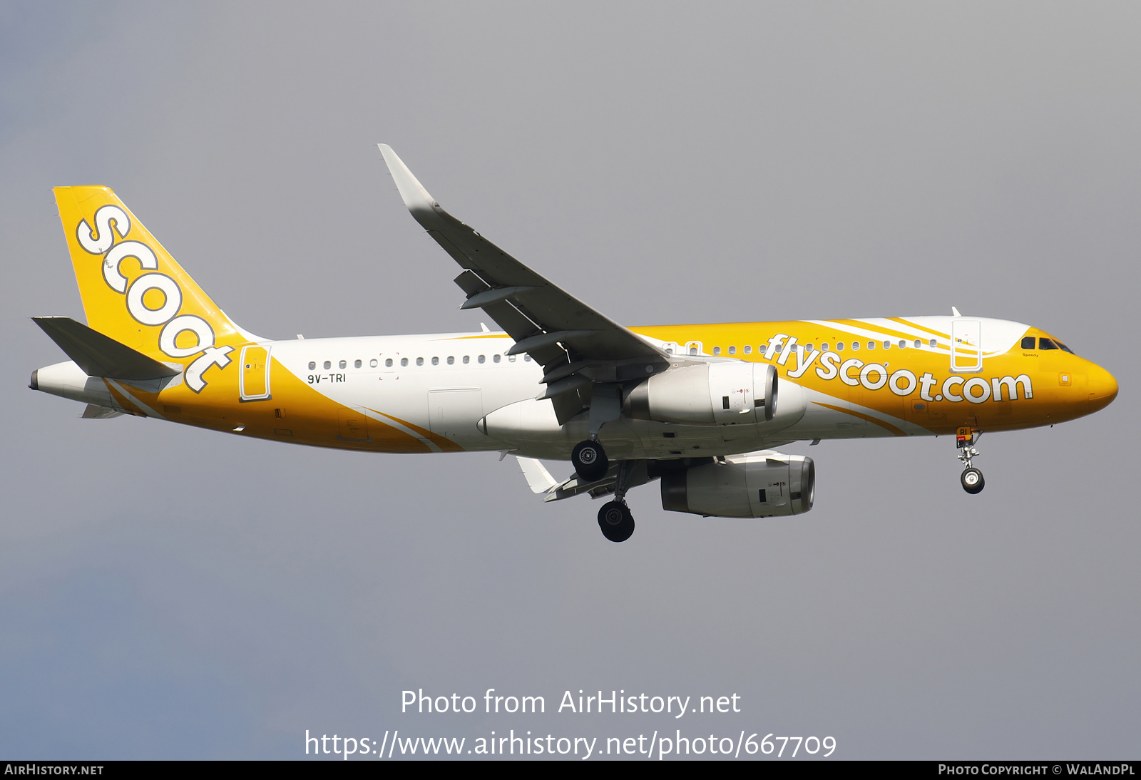 Aircraft Photo of 9V-TRI | Airbus A320-232 | Scoot | AirHistory.net #667709