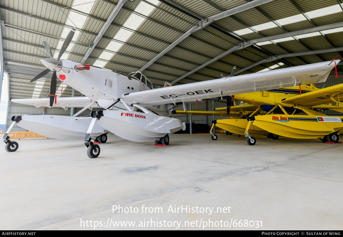 Aircraft Photo of EC-OEK | Air Tractor AT-802F Fire Boss (AT-802A) | AirHistory.net #668031