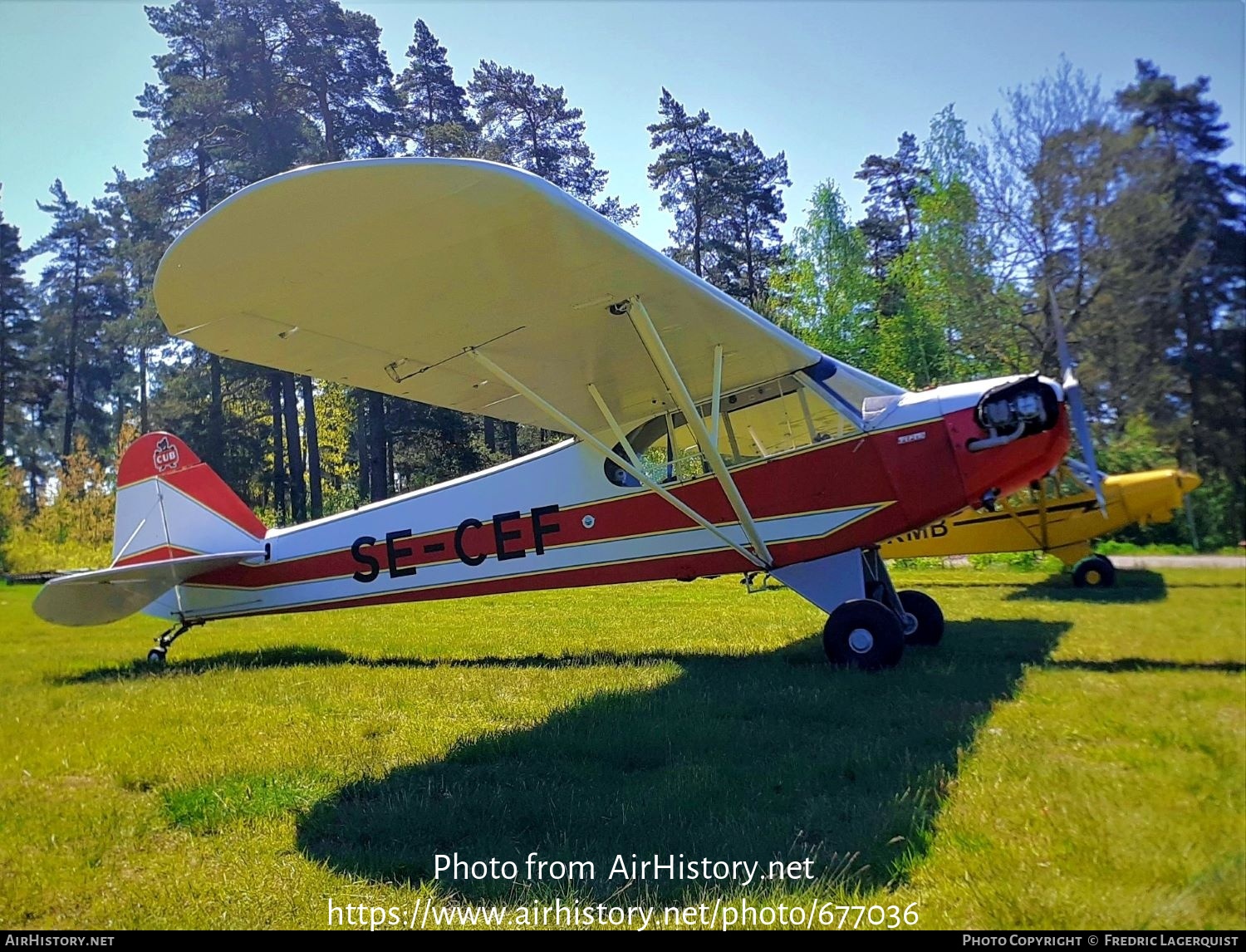 Aircraft Photo of SE-CEF | Piper J-3C-65 Cub | AirHistory.net #677036