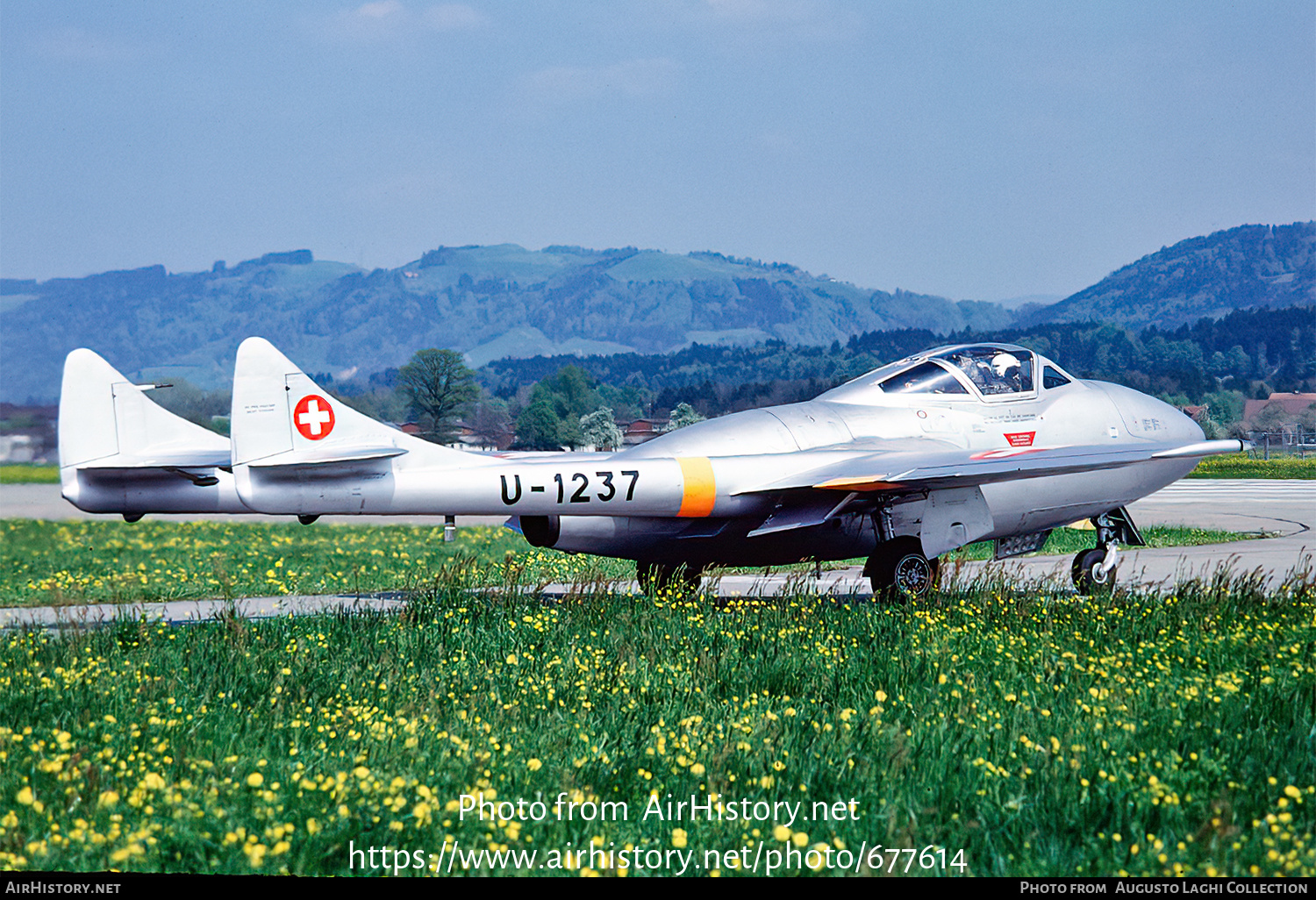 Aircraft Photo of U-1237 | De Havilland D.H. 115 Vampire T55 | Switzerland - Air Force | AirHistory.net #677614