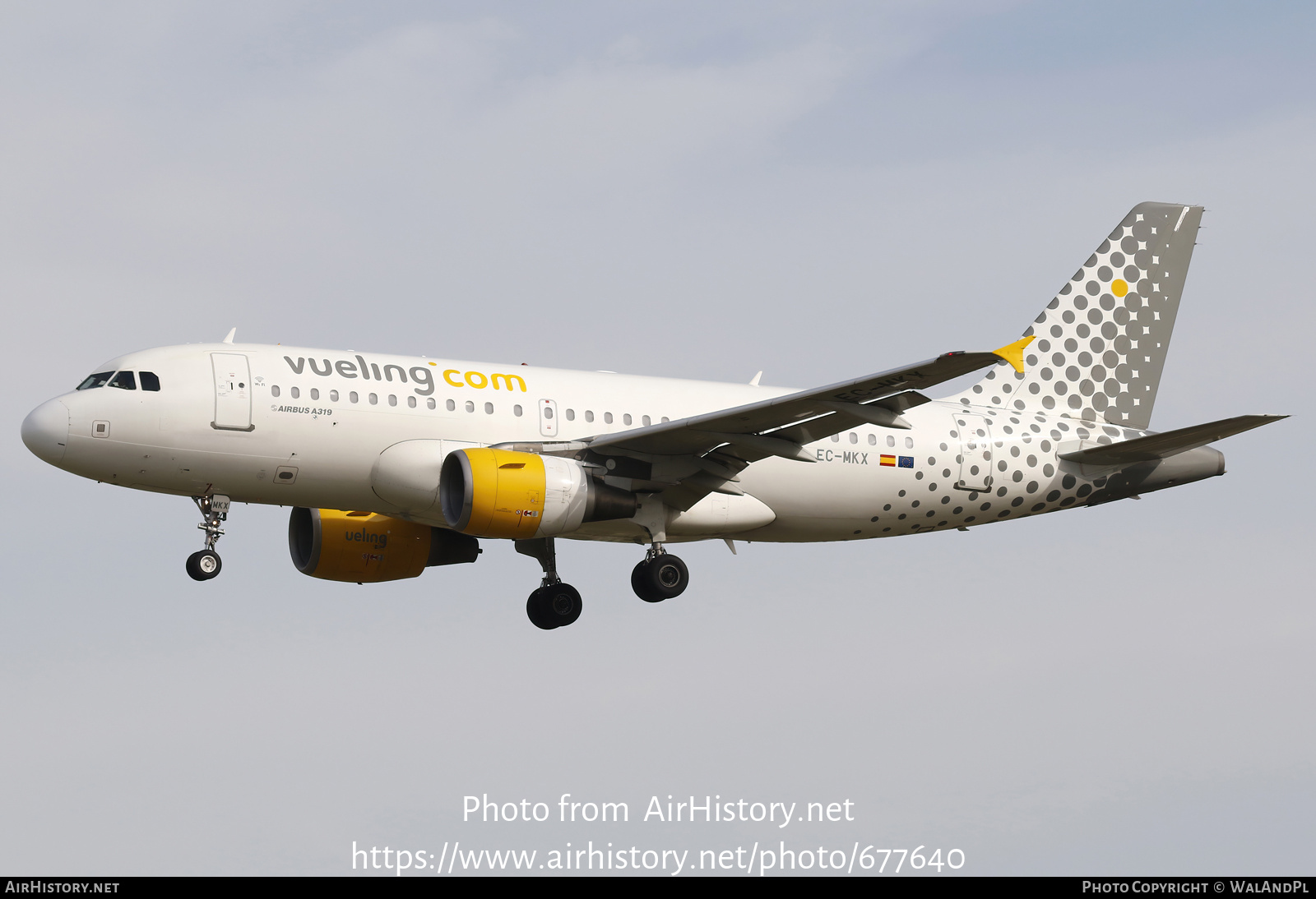 Aircraft Photo of EC-MKX | Airbus A319-111 | Vueling Airlines | AirHistory.net #677640