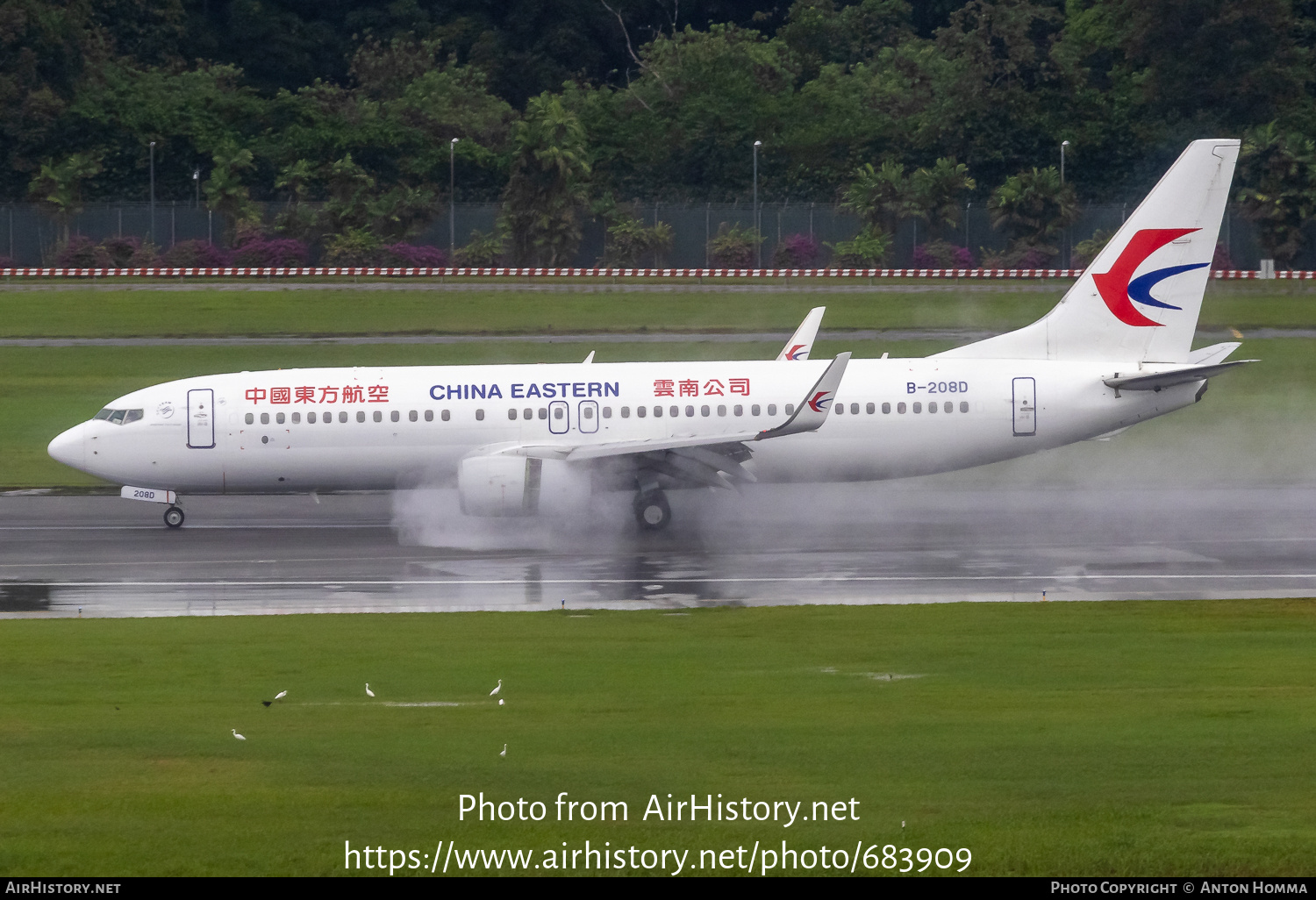 Aircraft Photo of B-208D | Boeing 737-800 | China Eastern Yunnan Airlines | AirHistory.net #683909