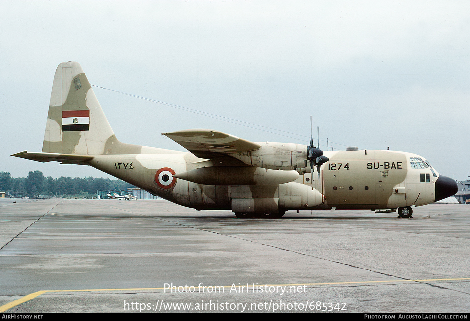 Aircraft Photo of 1274 / ۱۲۷٤ | Lockheed C-130H Hercules | Egypt - Air Force | AirHistory.net #685342