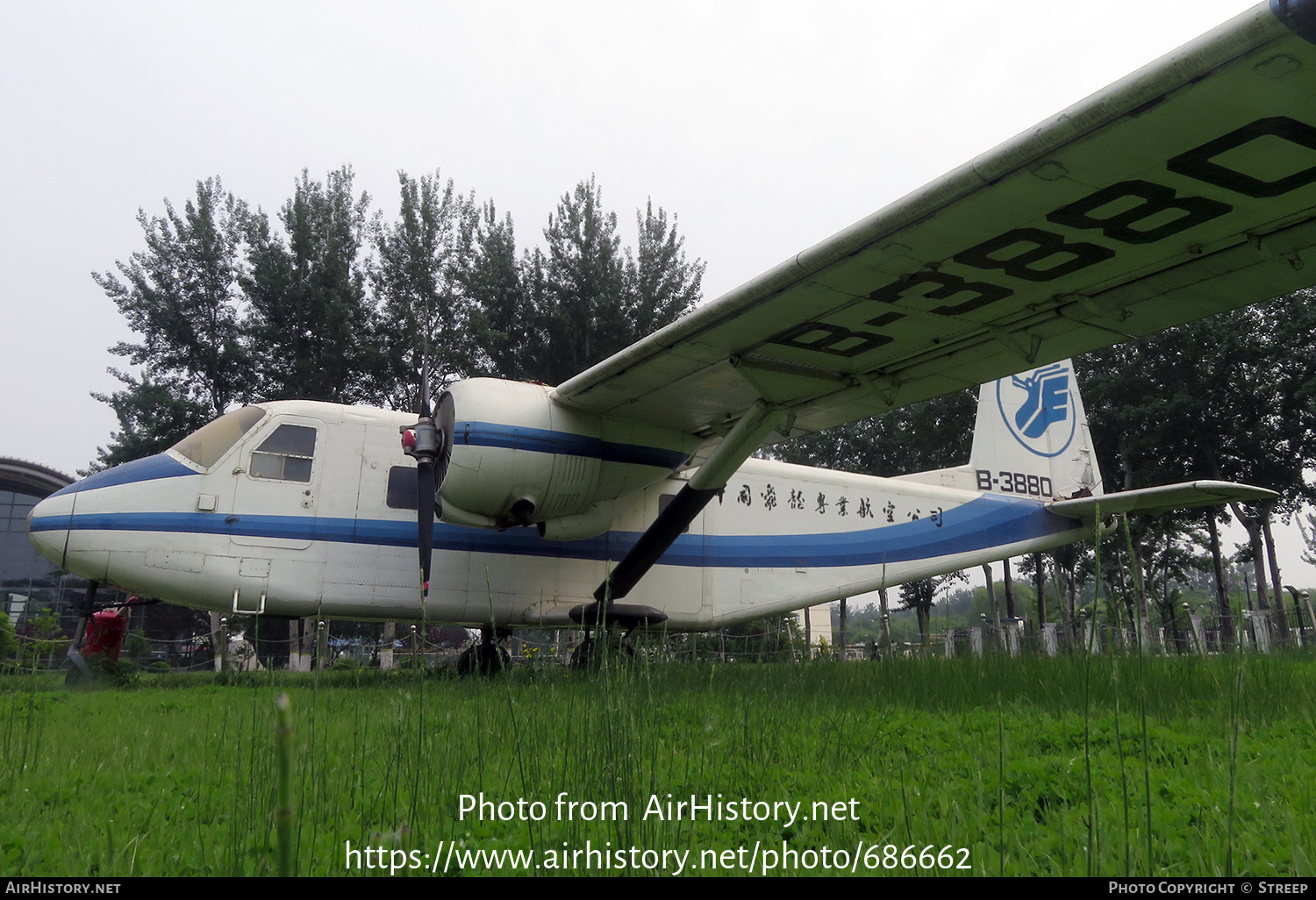 Aircraft Photo of B-3880 | Harbin Y11 | China Flying Dragon Aviation | AirHistory.net #686662