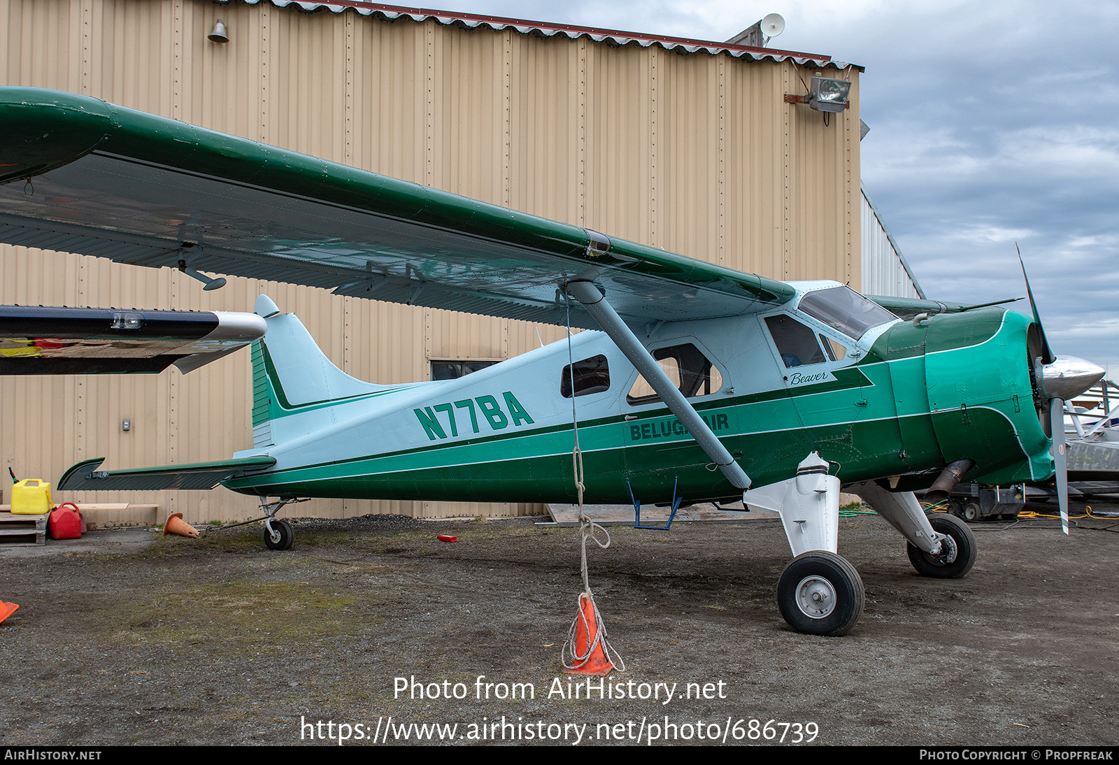 Aircraft Photo of N77BA | De Havilland Canada DHC-2 Beaver Mk1 | Beluga Air | AirHistory.net #686739