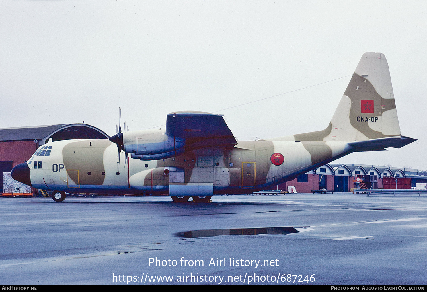 Aircraft Photo of CNA-OP | Lockheed C-130H Hercules | Morocco - Air Force | AirHistory.net #687246