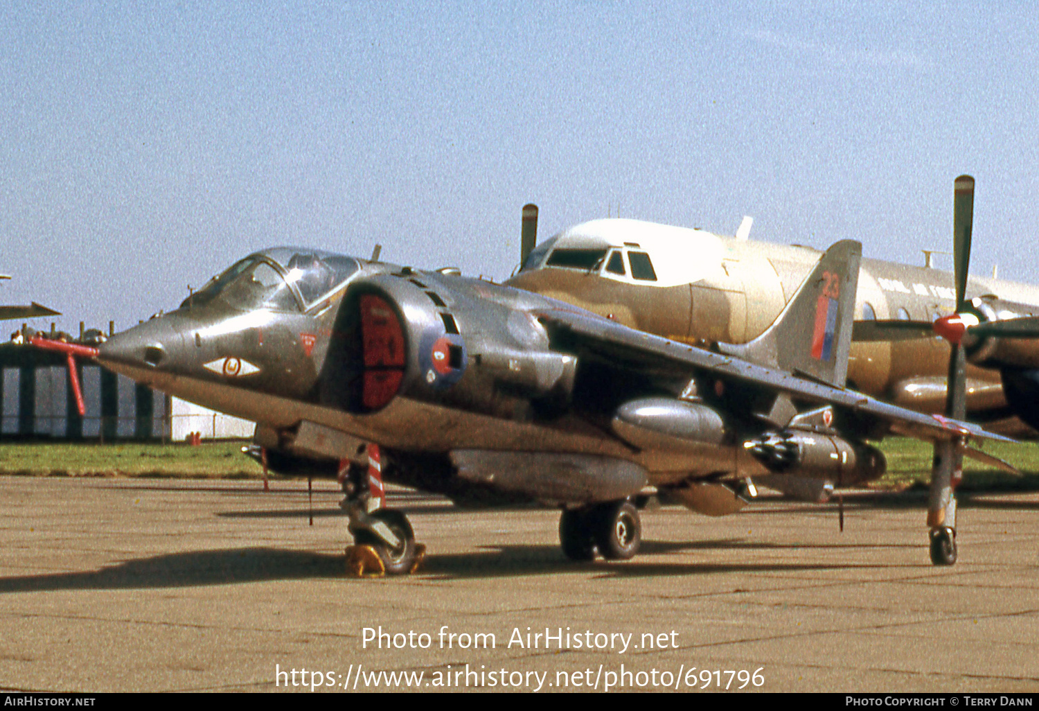 Aircraft Photo of XW923 | Hawker Siddeley Harrier GR1A | UK - Air Force | AirHistory.net #691796