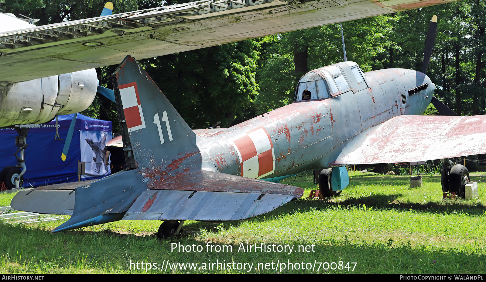 Aircraft Photo of 11 | Ilyushin B-33 | Poland - Air Force | AirHistory.net #700847