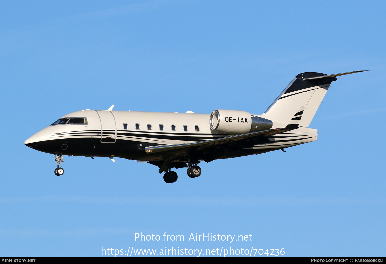 Aircraft Photo of OE-IAA | Bombardier Challenger 604 (CL-600-2B16) | AirHistory.net #704236