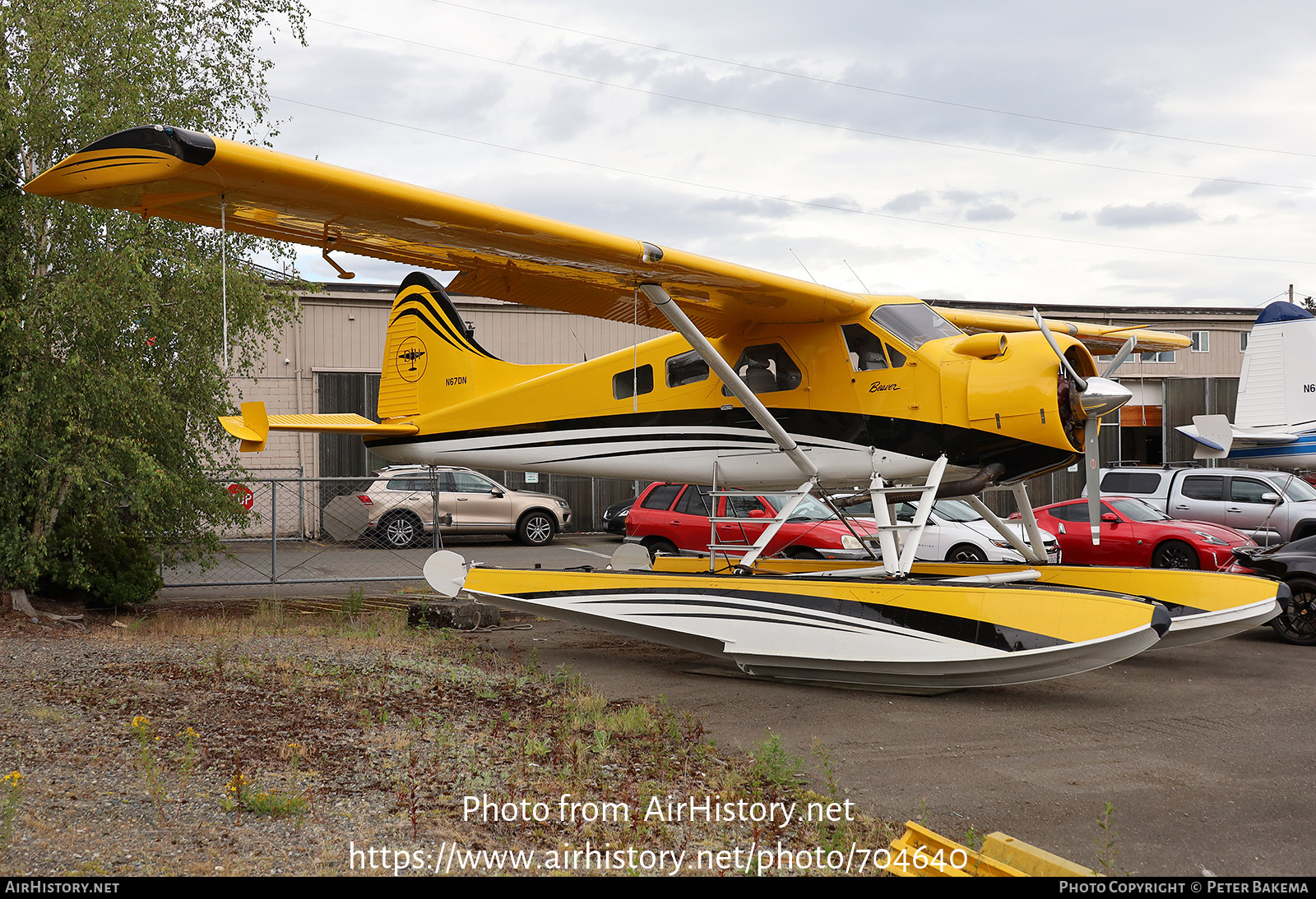 Aircraft Photo of N67DN | De Havilland Canada DHC-2 Beaver Mk1 | AirHistory.net #704640