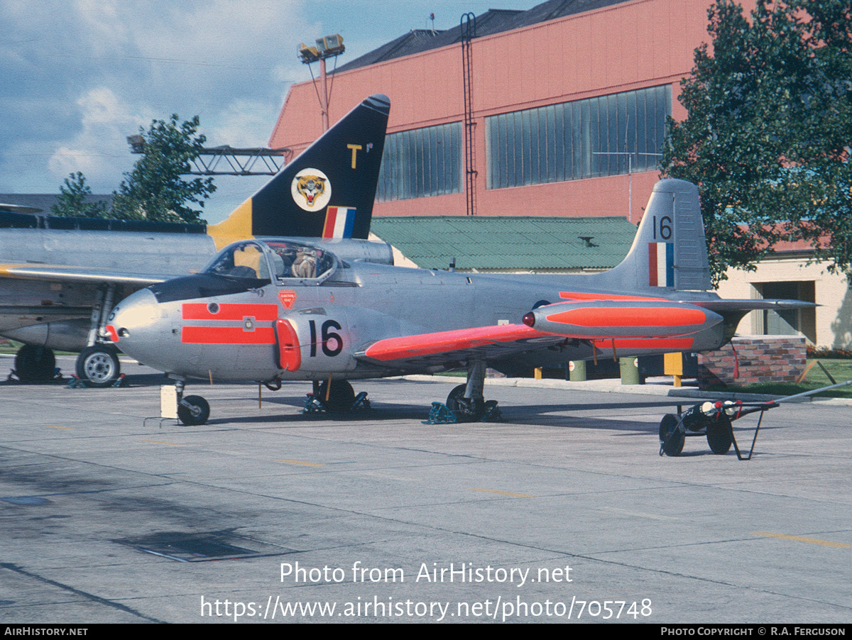 Aircraft Photo of XN503 | Hunting P.84 Jet Provost T3 | UK - Air Force | AirHistory.net #705748