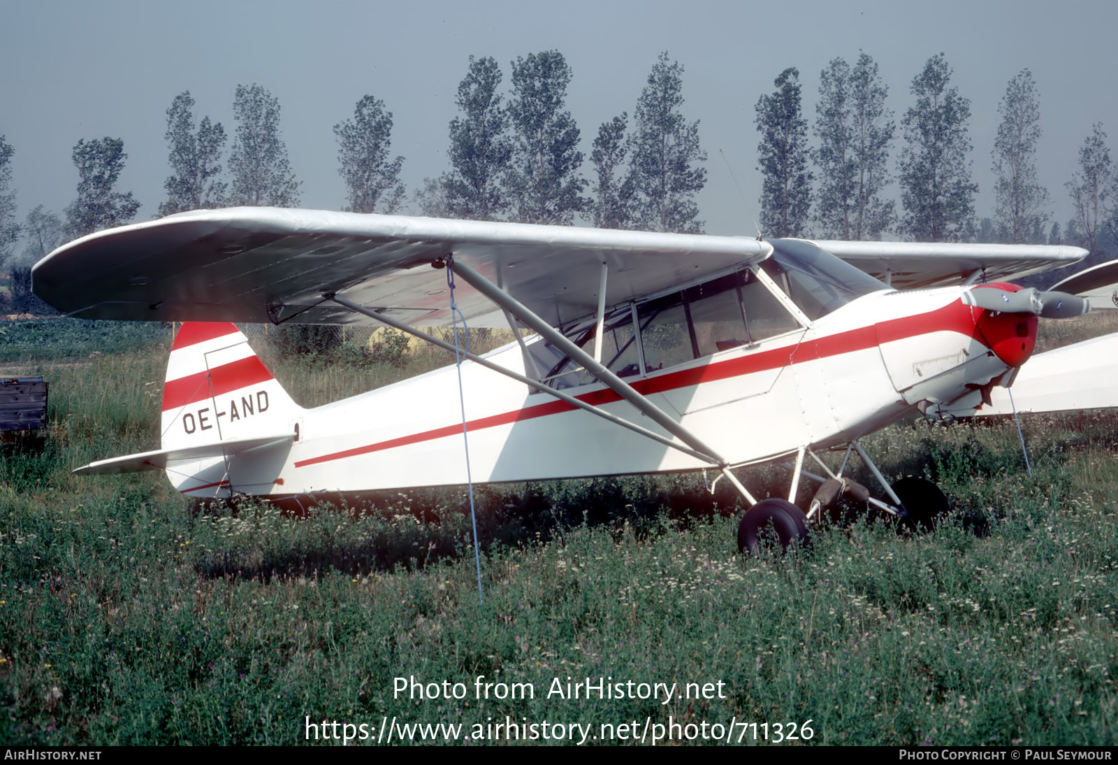 Aircraft Photo of OE-AND | Piper PA-18-95 Super Cub | AirHistory.net #711326