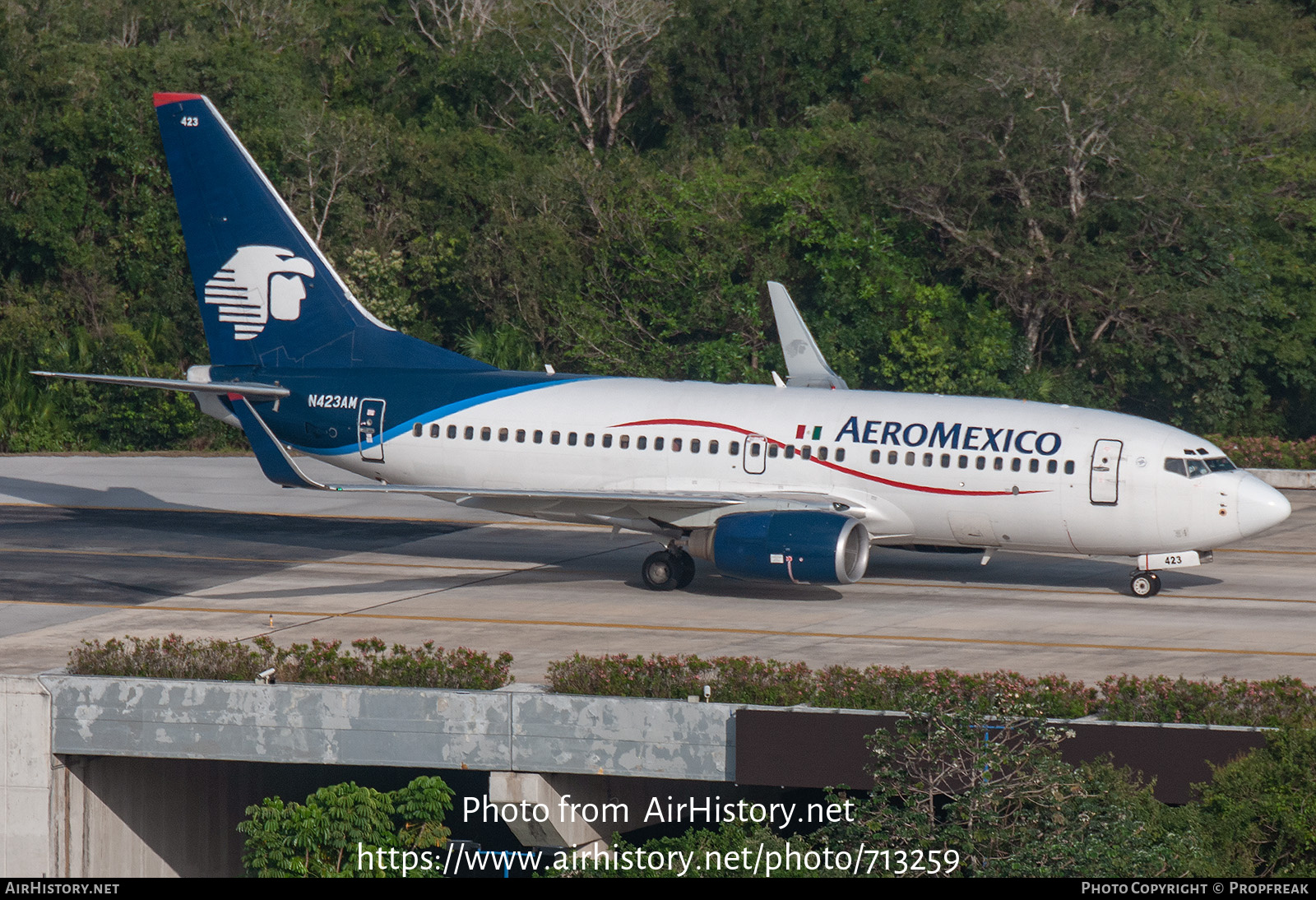 Aircraft Photo of N423AM | Boeing 737-73V | AeroMéxico | AirHistory.net #713259