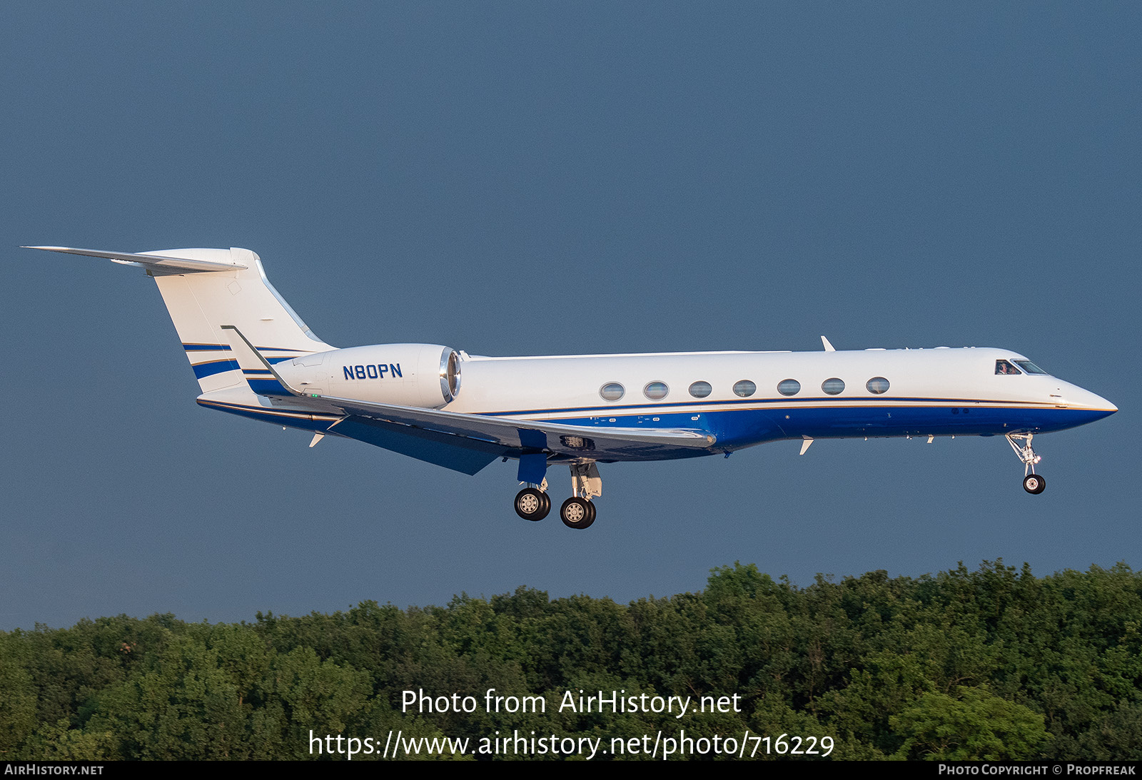 Aircraft Photo of N80PN | Gulfstream Aerospace G-V Gulfstream V | AirHistory.net #716229