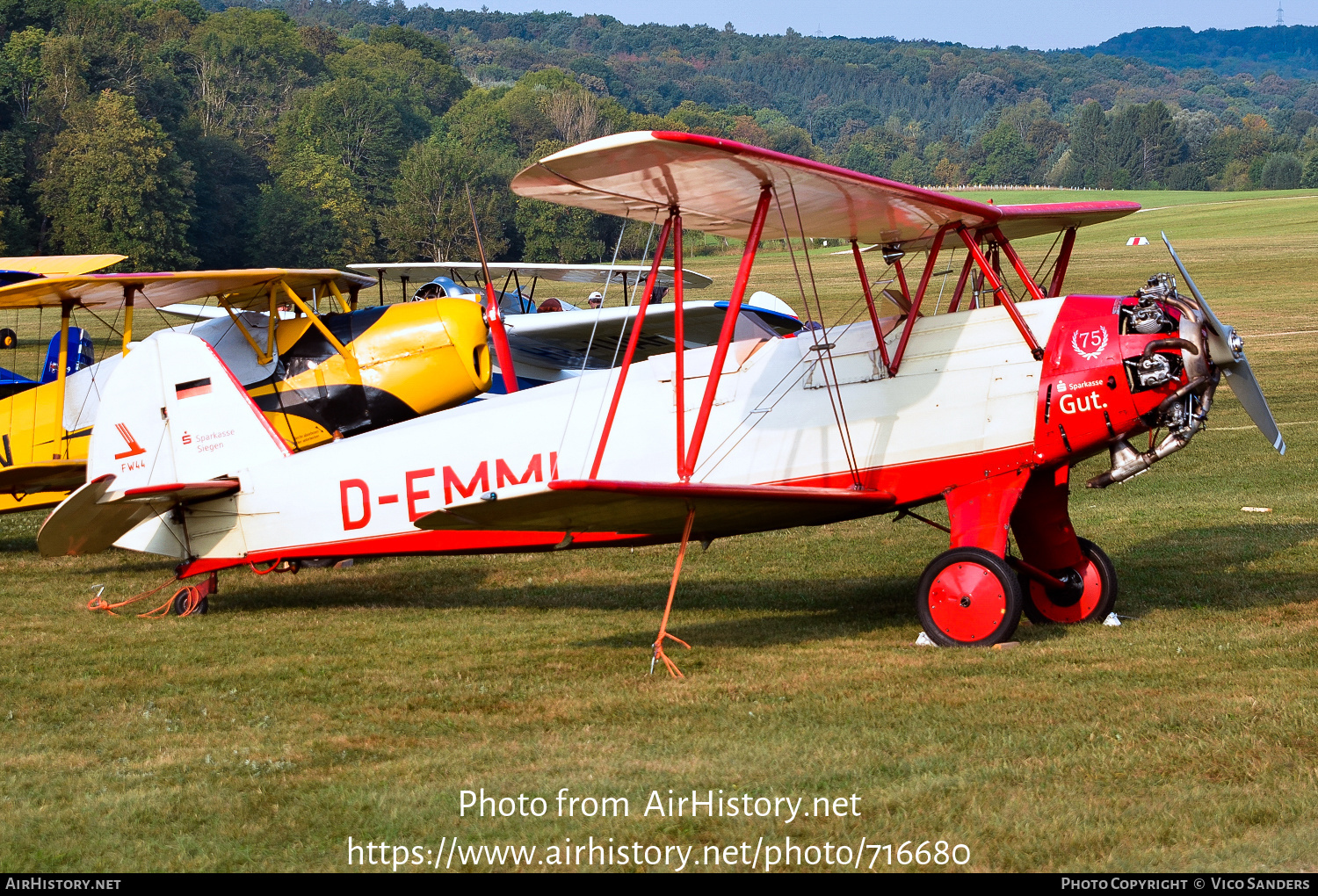 Aircraft Photo of D-EMMI | Focke-Wulf Sk12 Stieglitz (Fw-44J) | AirHistory.net #716680