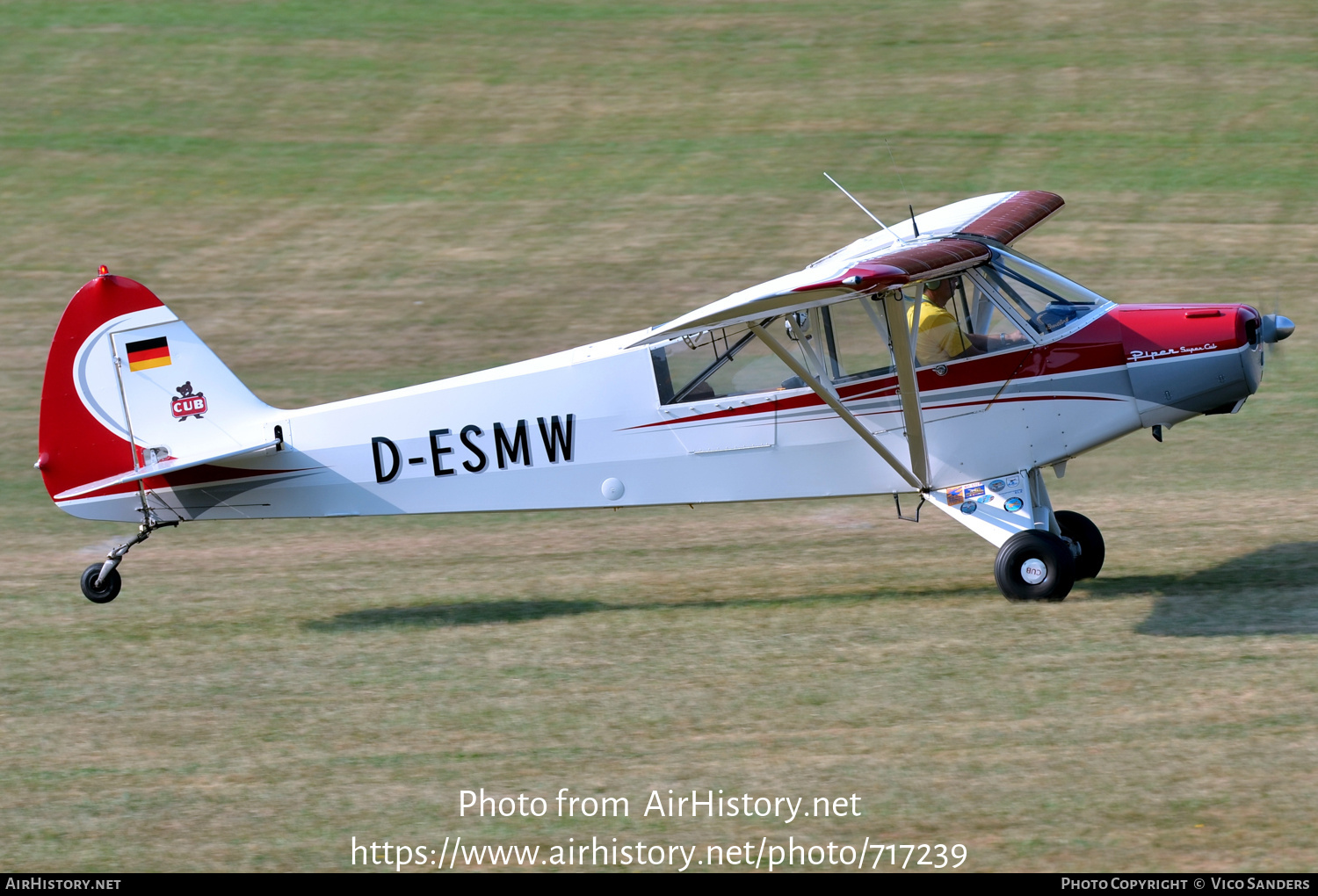 Aircraft Photo of D-ESMW | Piper PA-18-95 Super Cub | AirHistory.net #717239