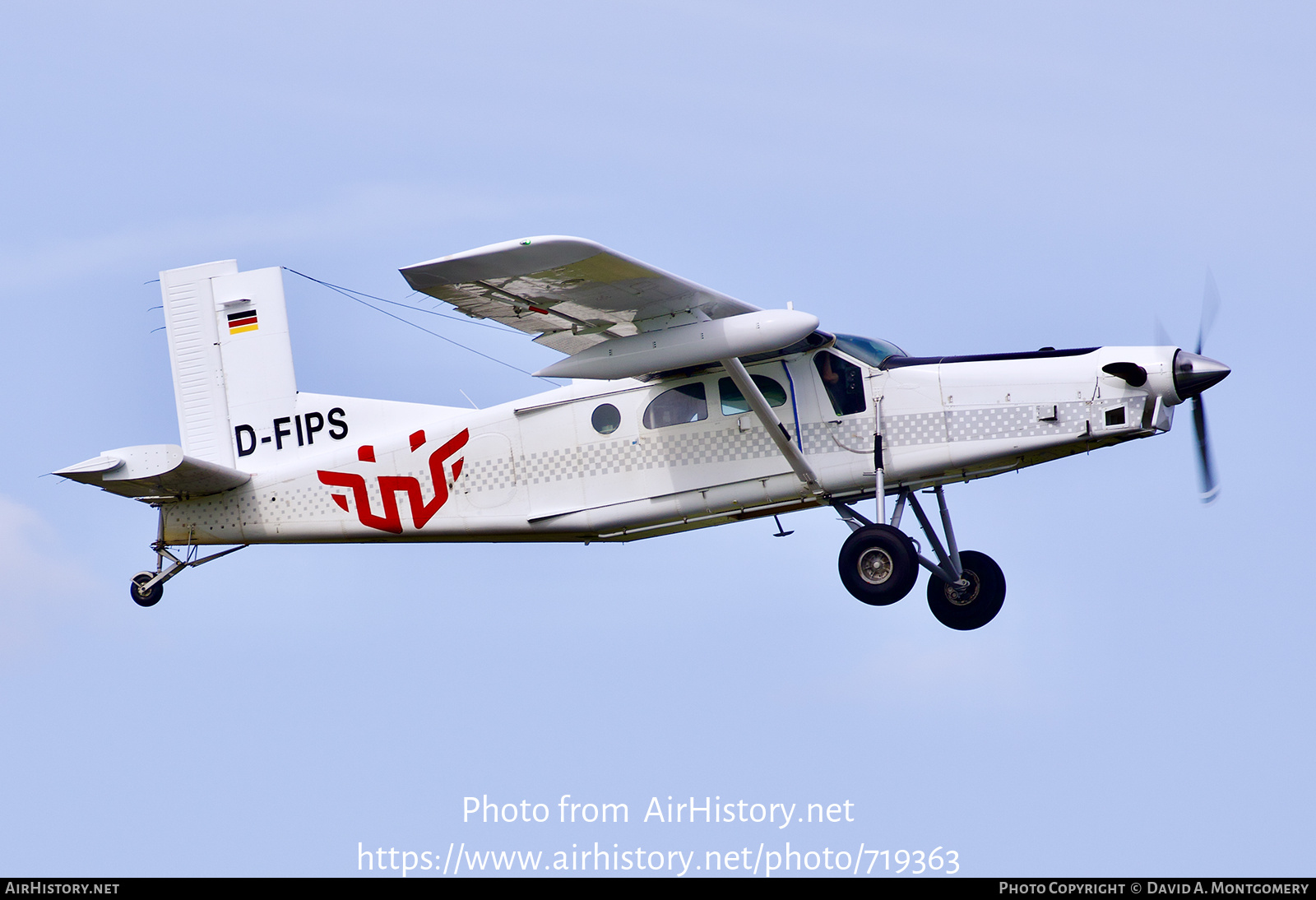 Aircraft Photo of D-FIPS | Pilatus PC-6/B2-H4 Turbo Porter | AirHistory.net #719363