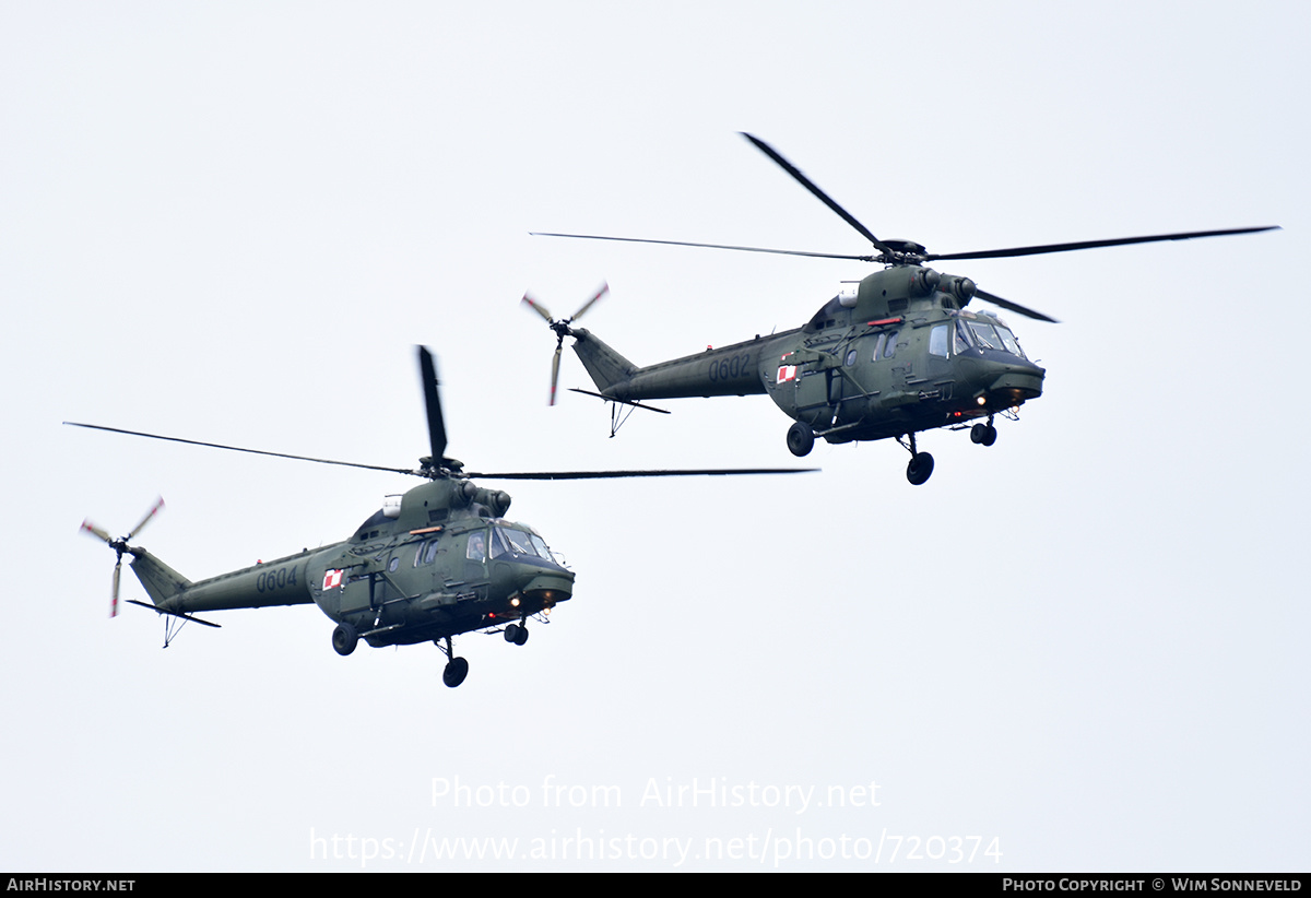 Aircraft Photo of 0602 | PZL-Swidnik W-3W Sokol | Poland - Army | AirHistory.net #720374