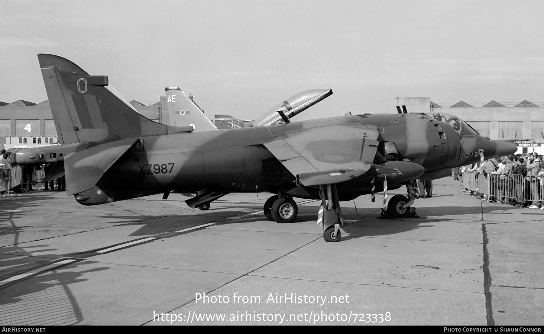 Aircraft Photo of XZ987 | Hawker Siddeley Harrier GR3 | UK - Air Force | AirHistory.net #723338